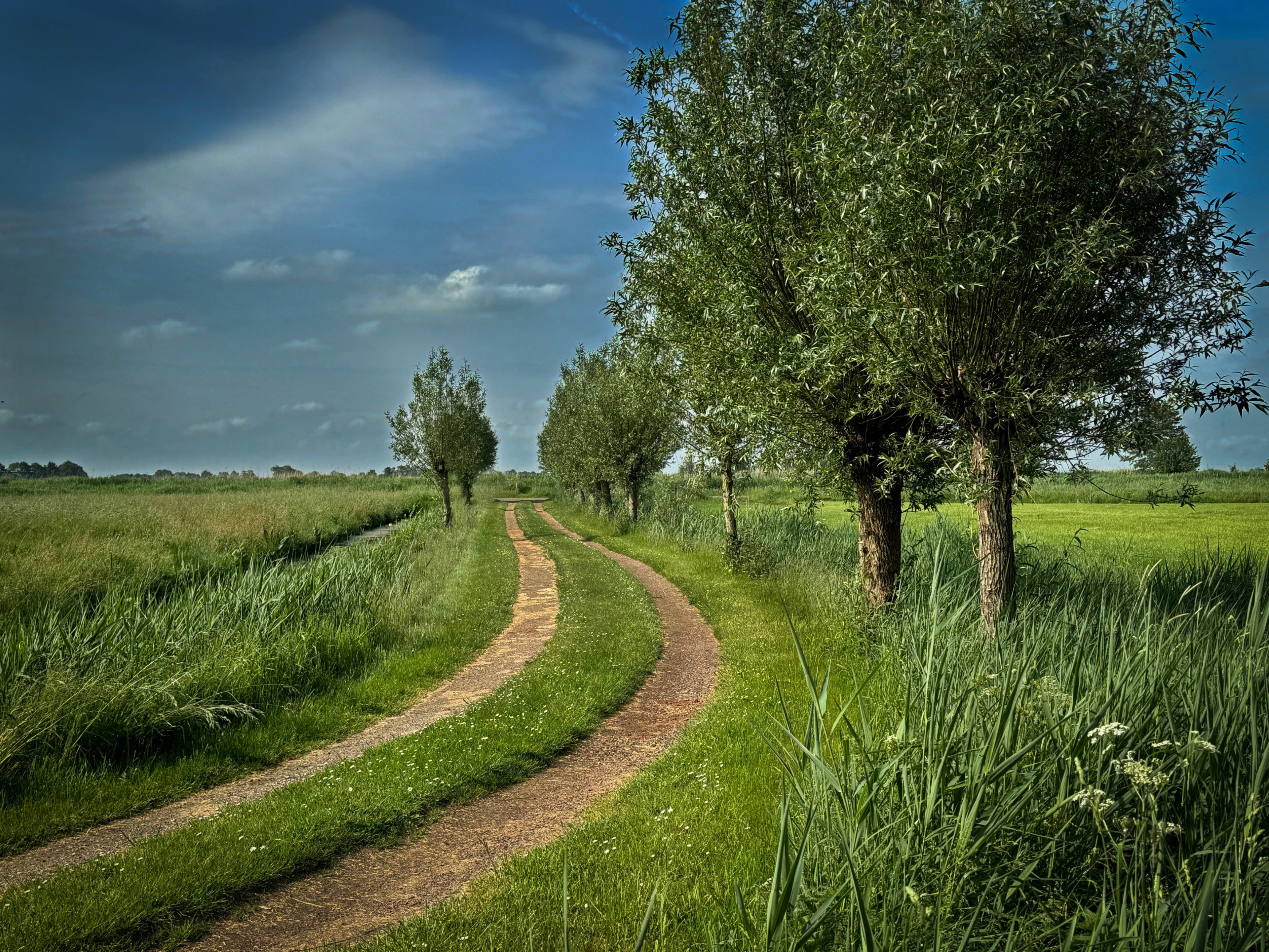 - image: 58