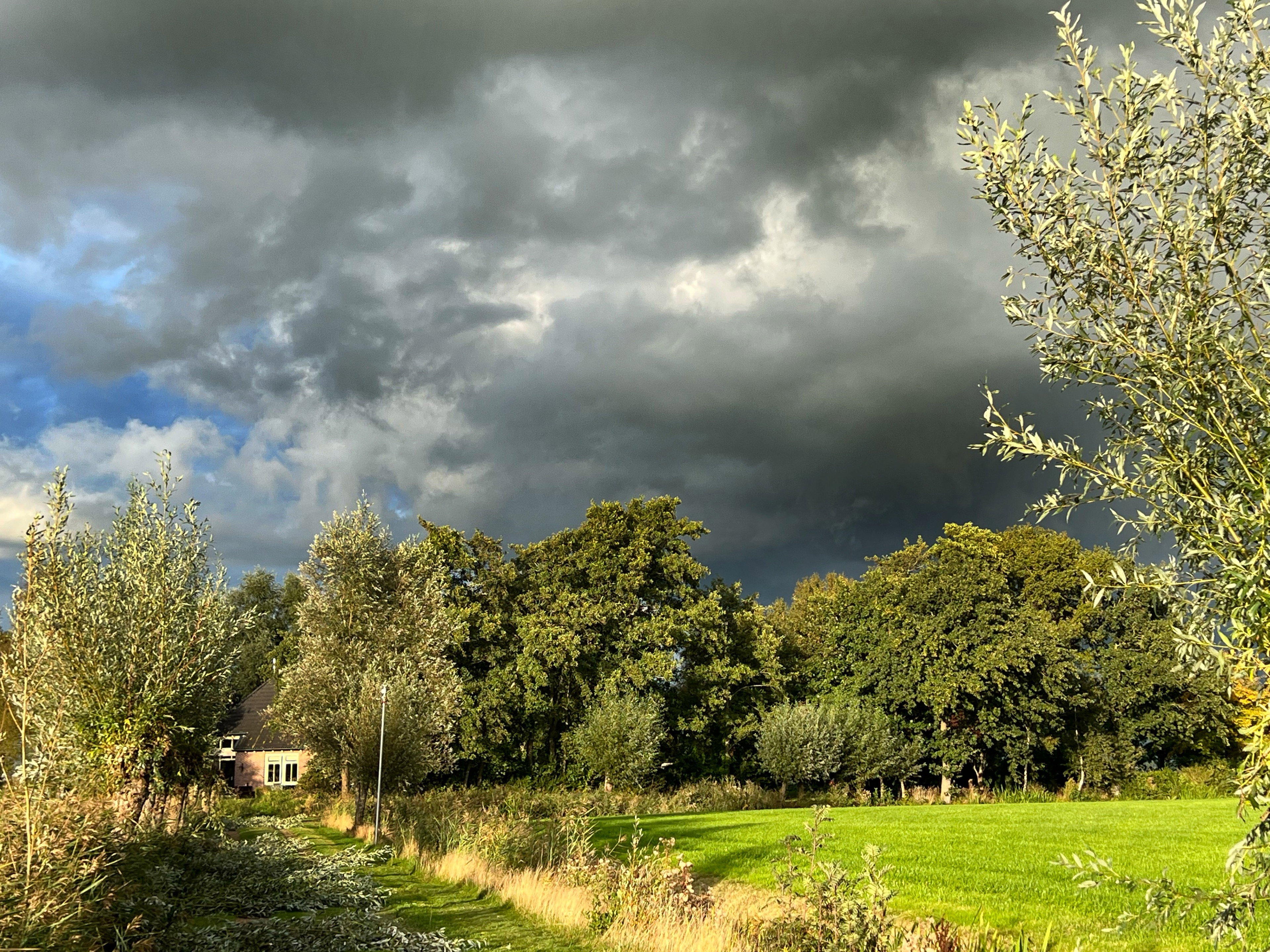 - image: 52
