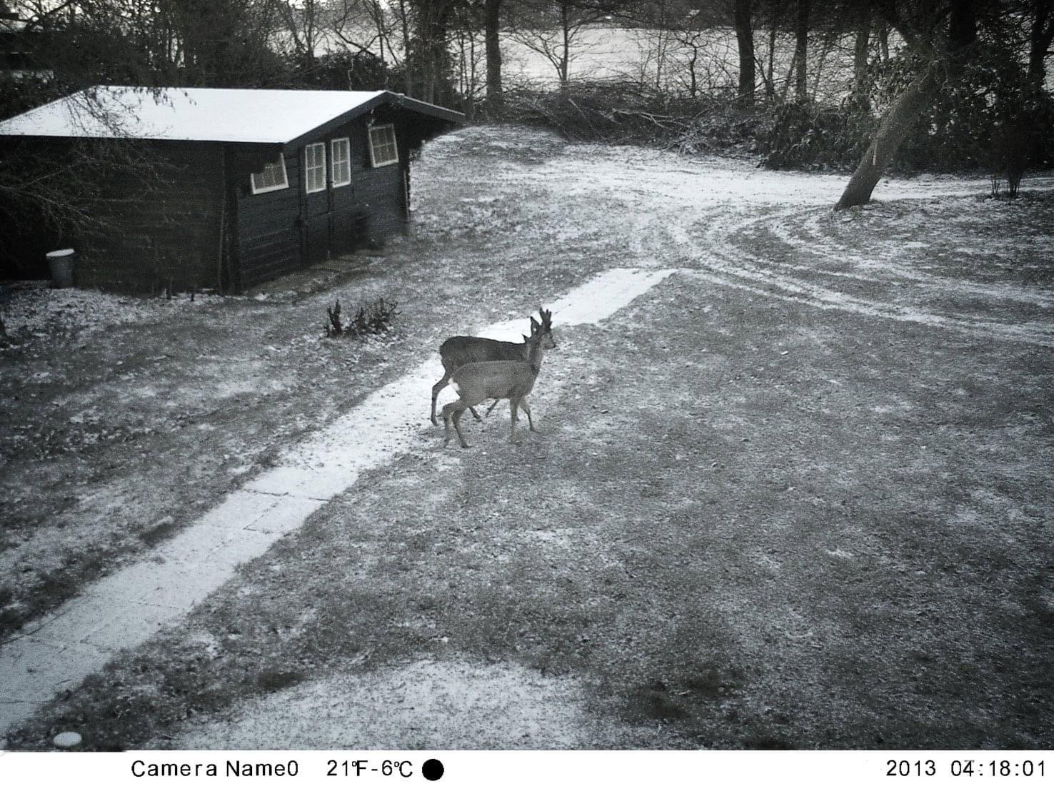 - image: 49