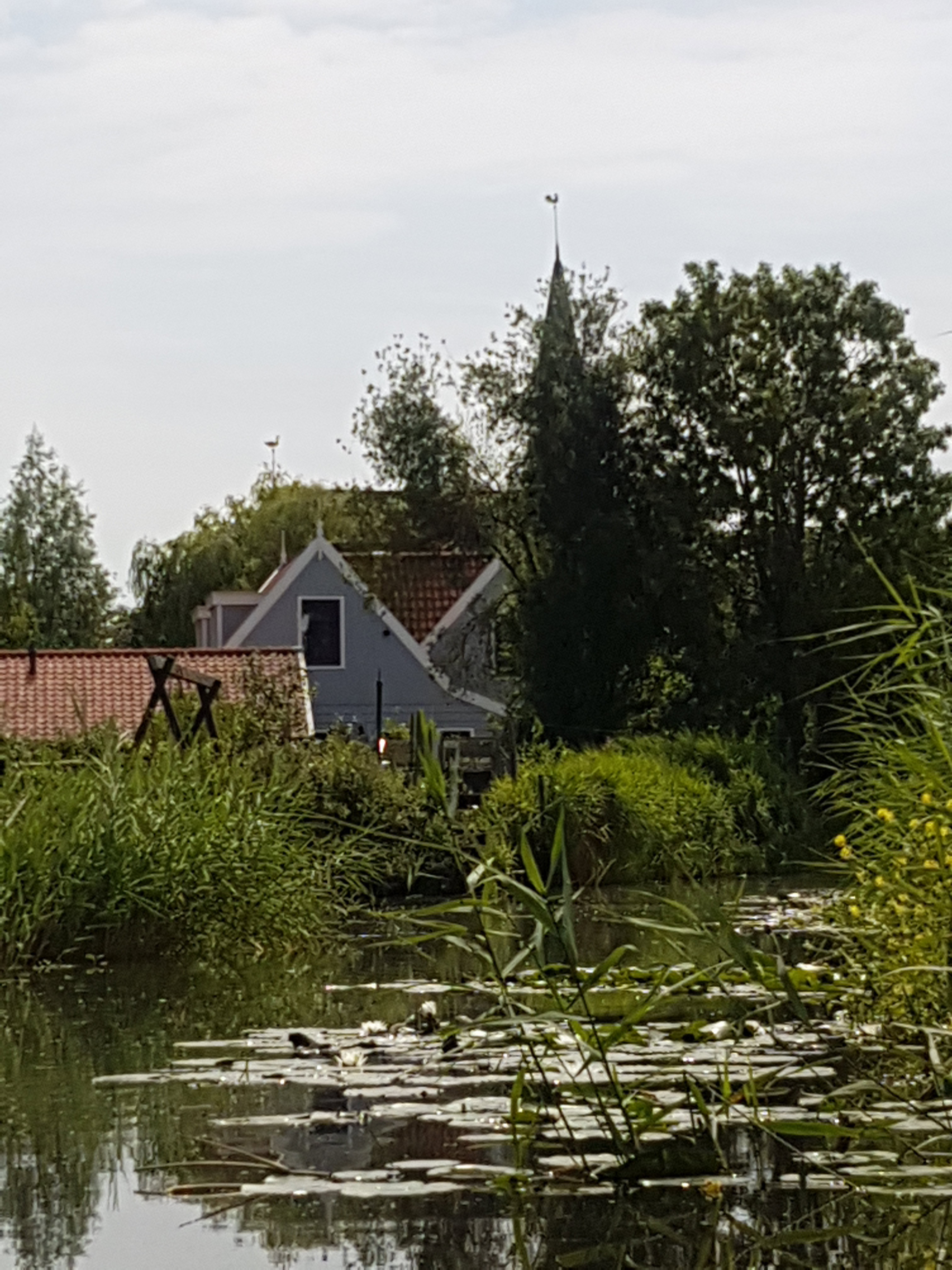 - image: 18