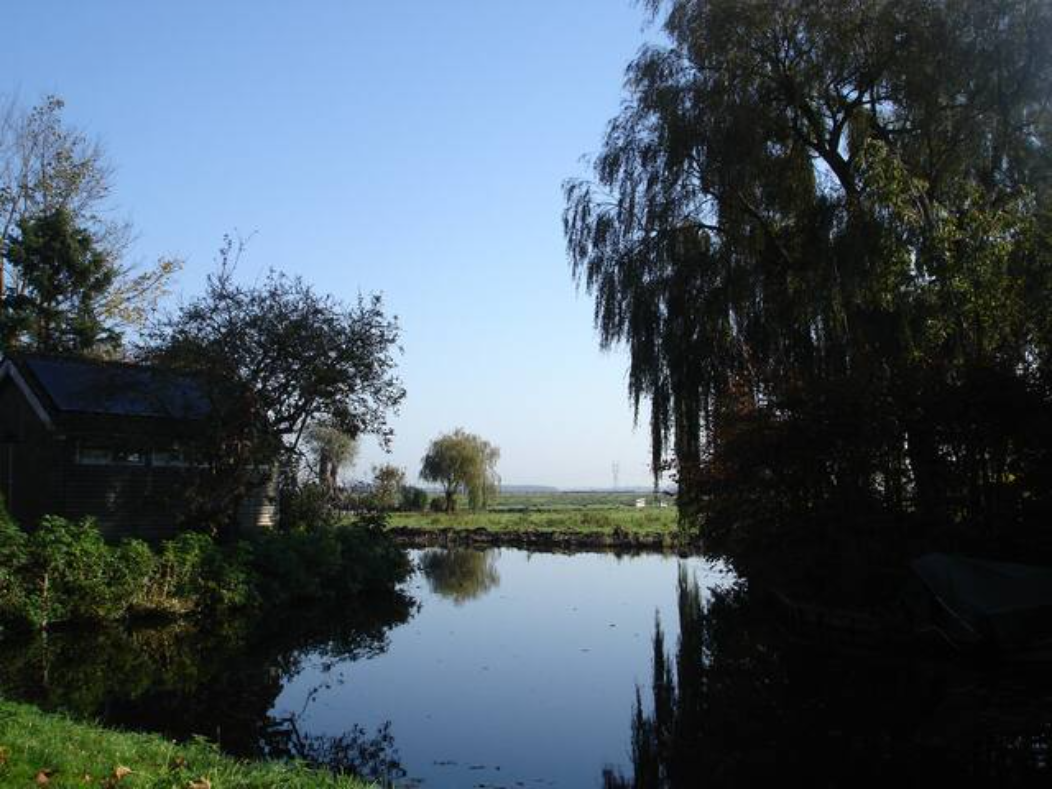 - image: 12