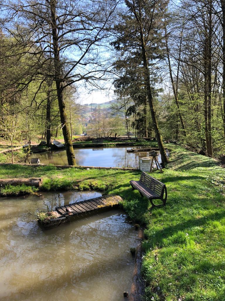 Natuurhuisje in Ulmet