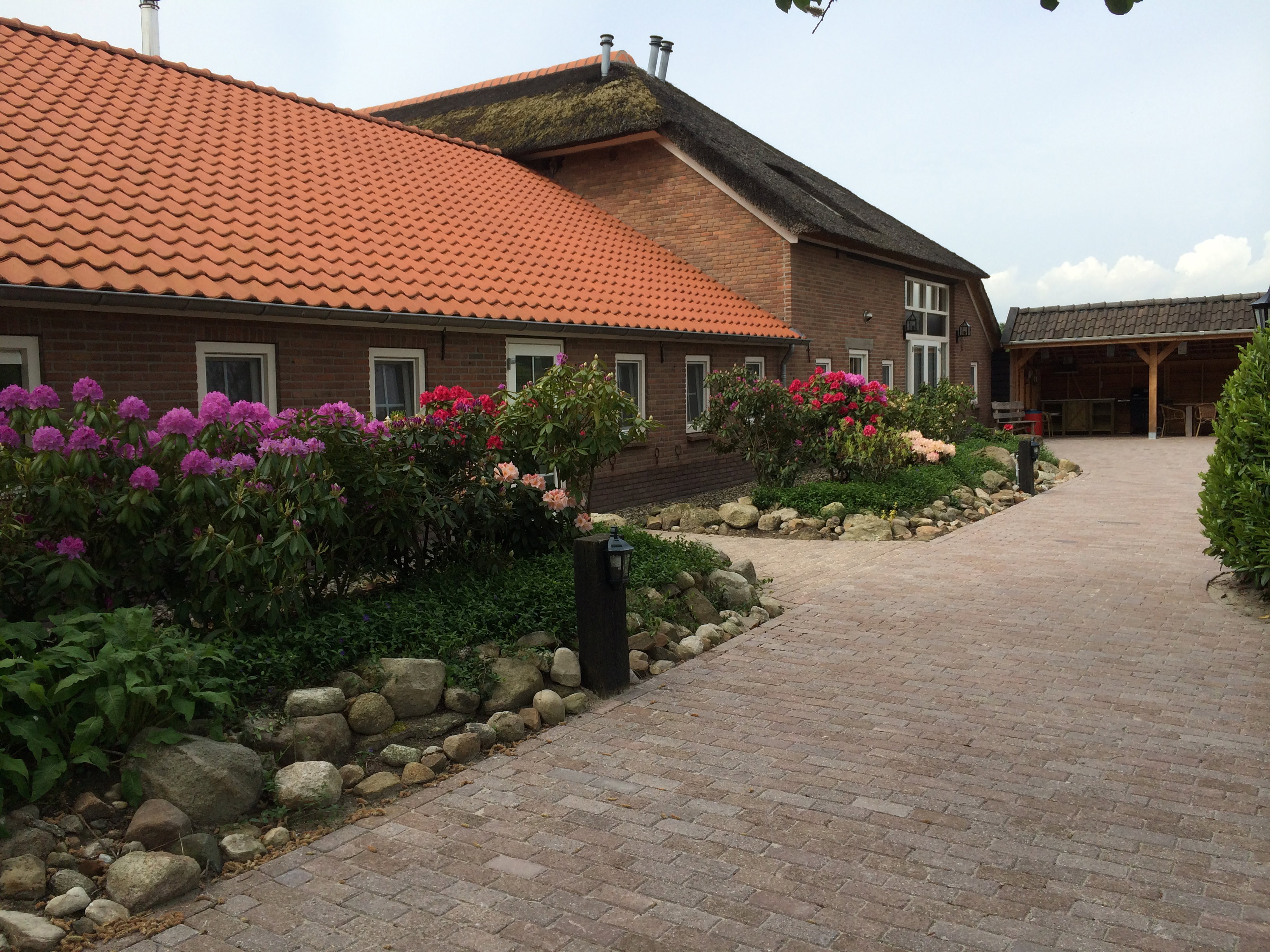 Natuurhuisje in Dwingeloo