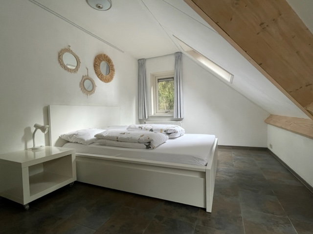 - image: 11
