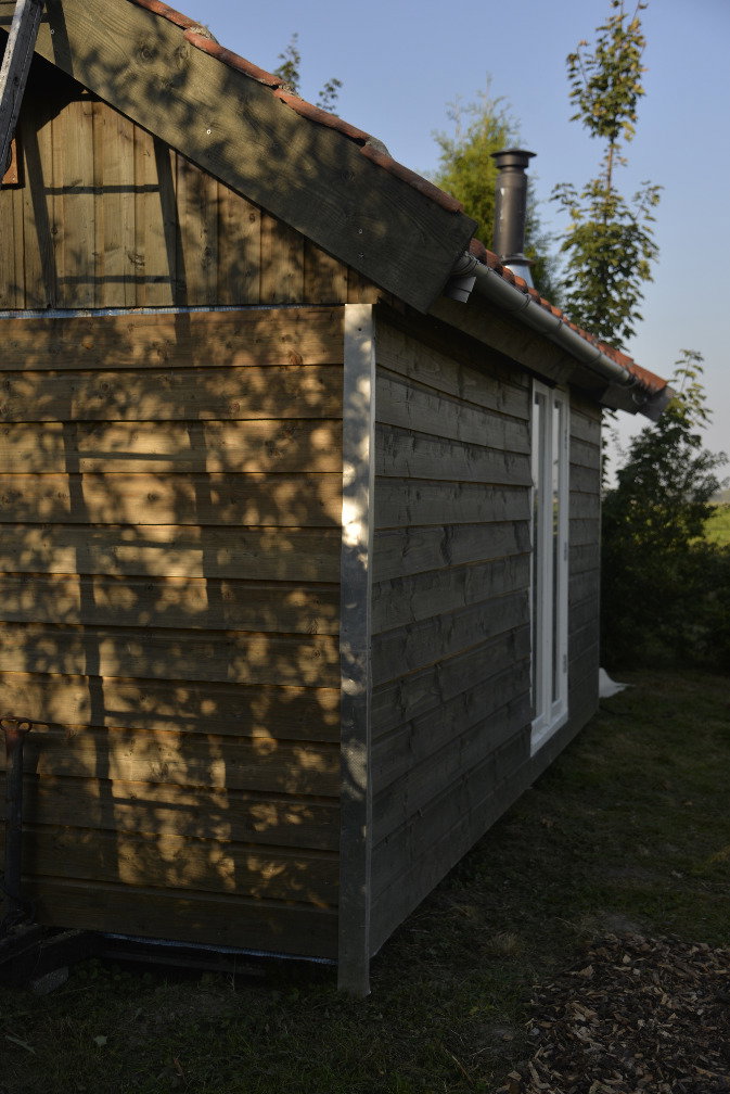 - image: 12