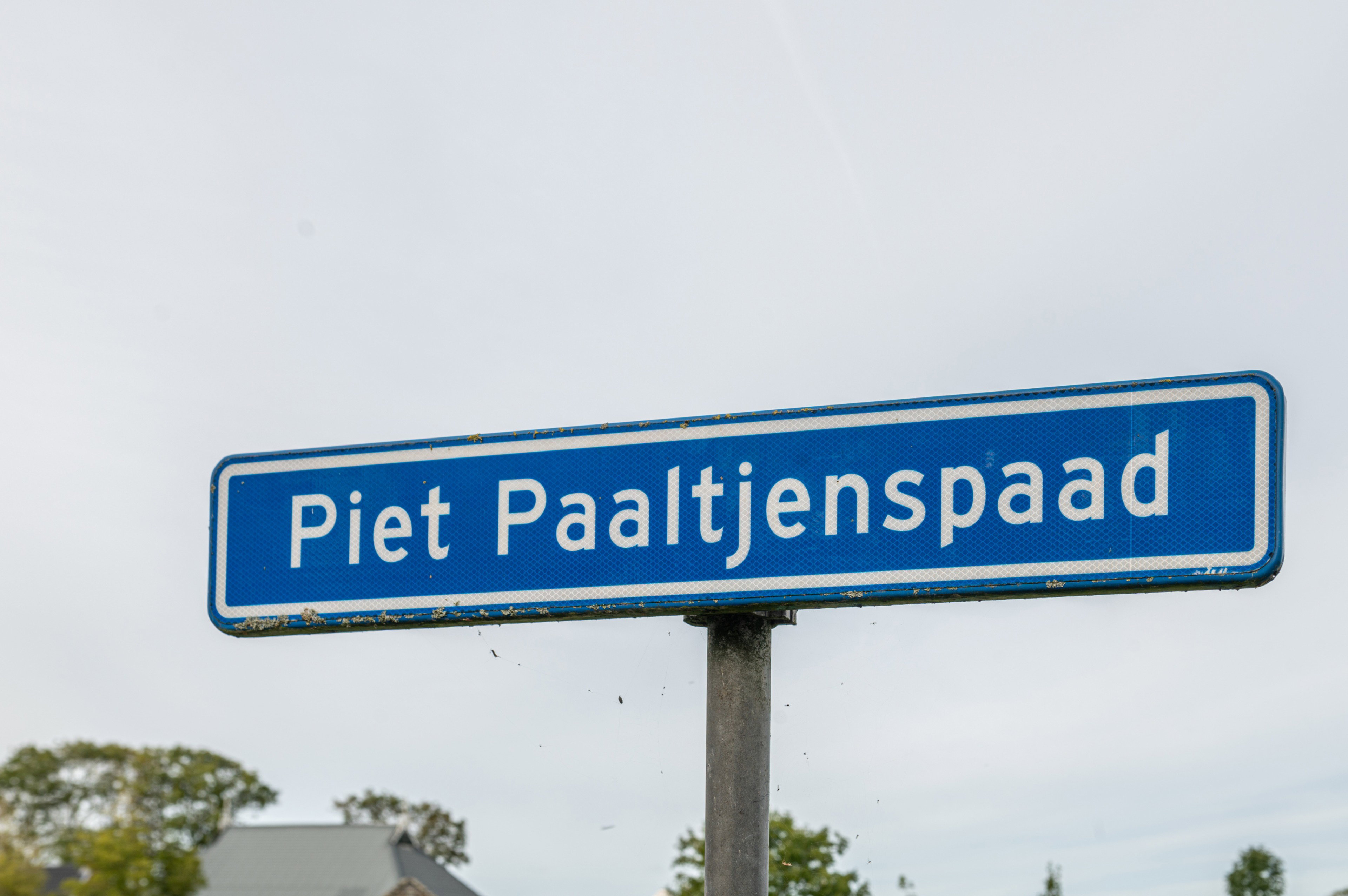 - image: 90