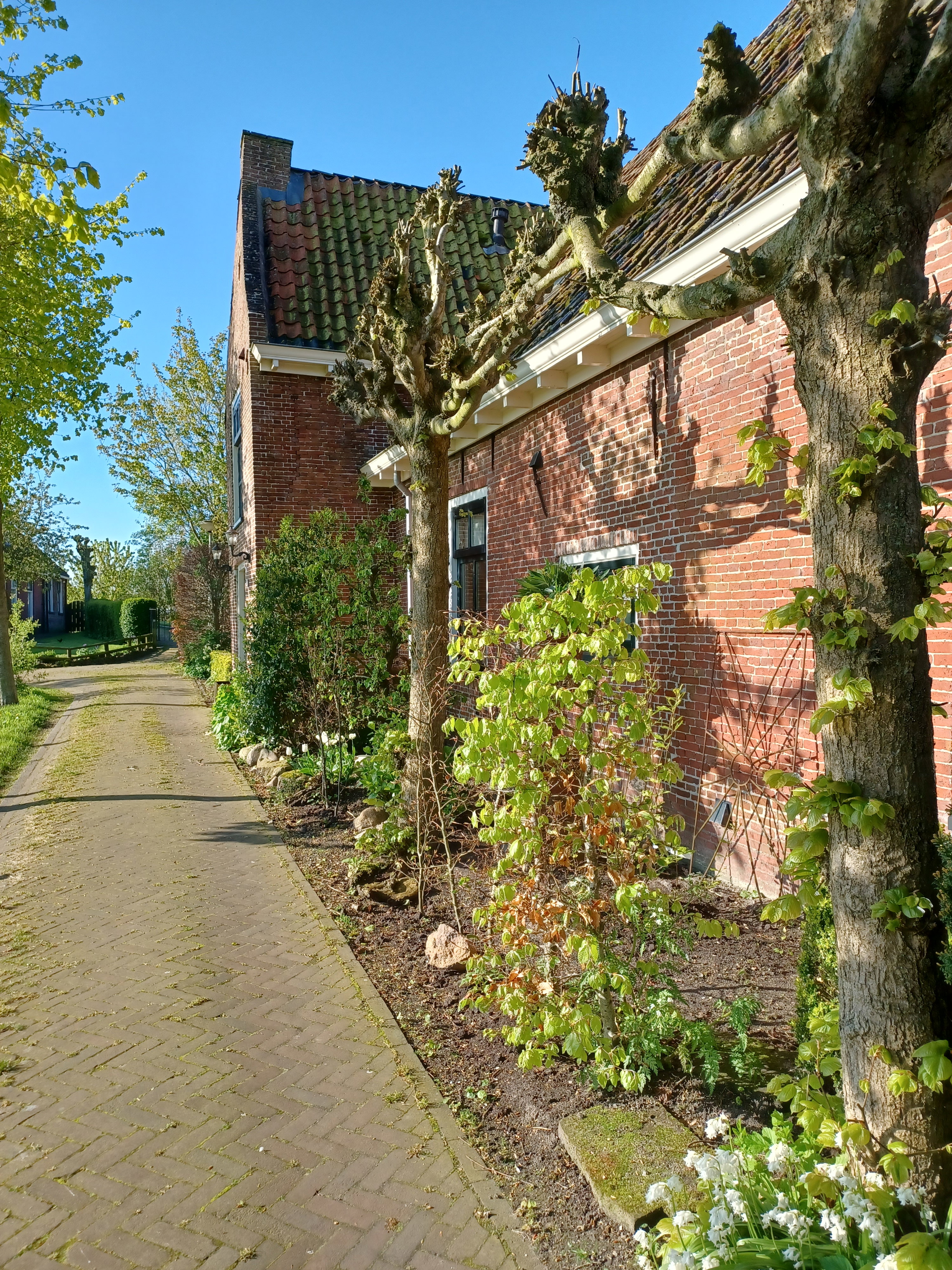 - image: 82