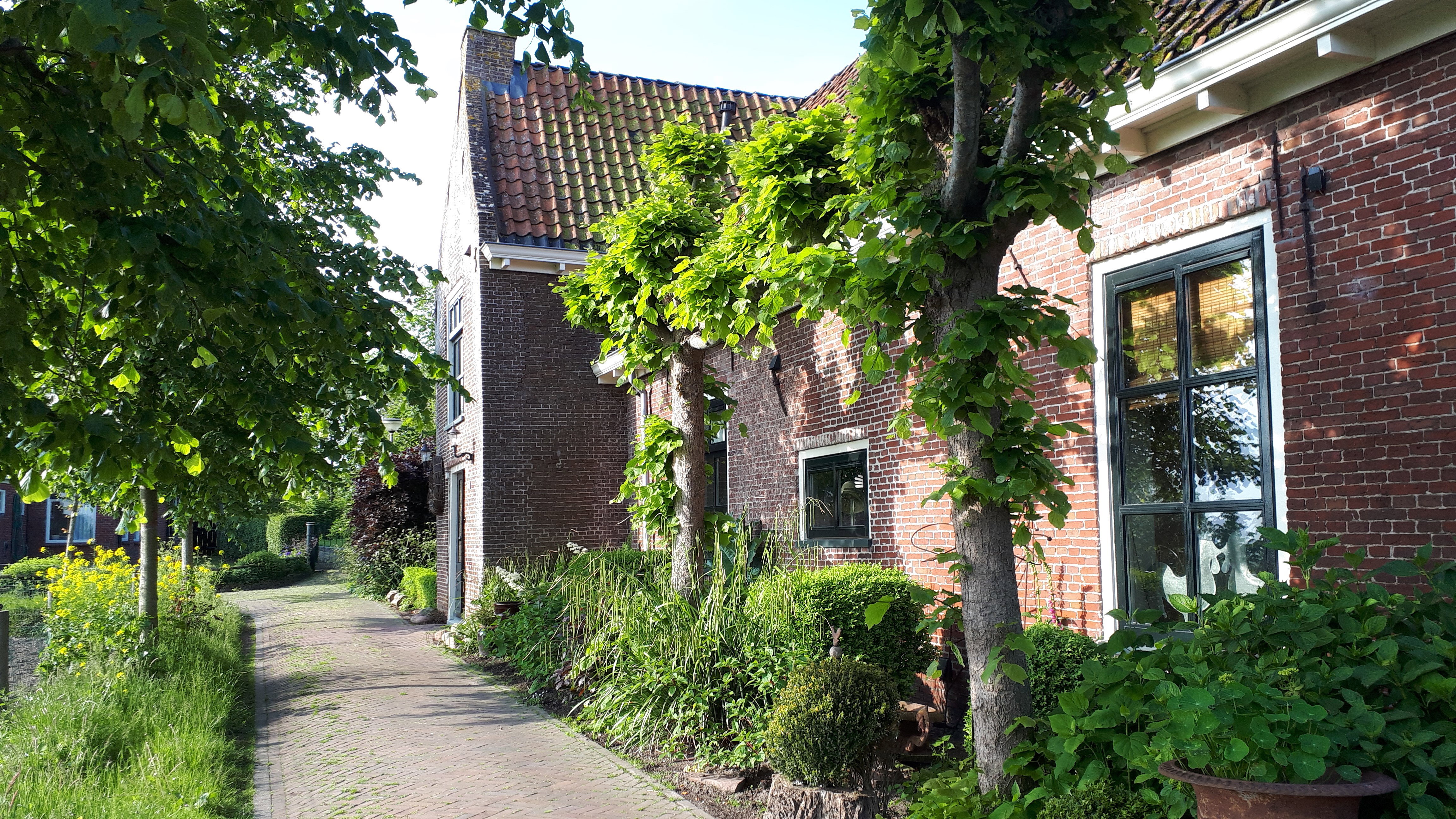 - image: 22