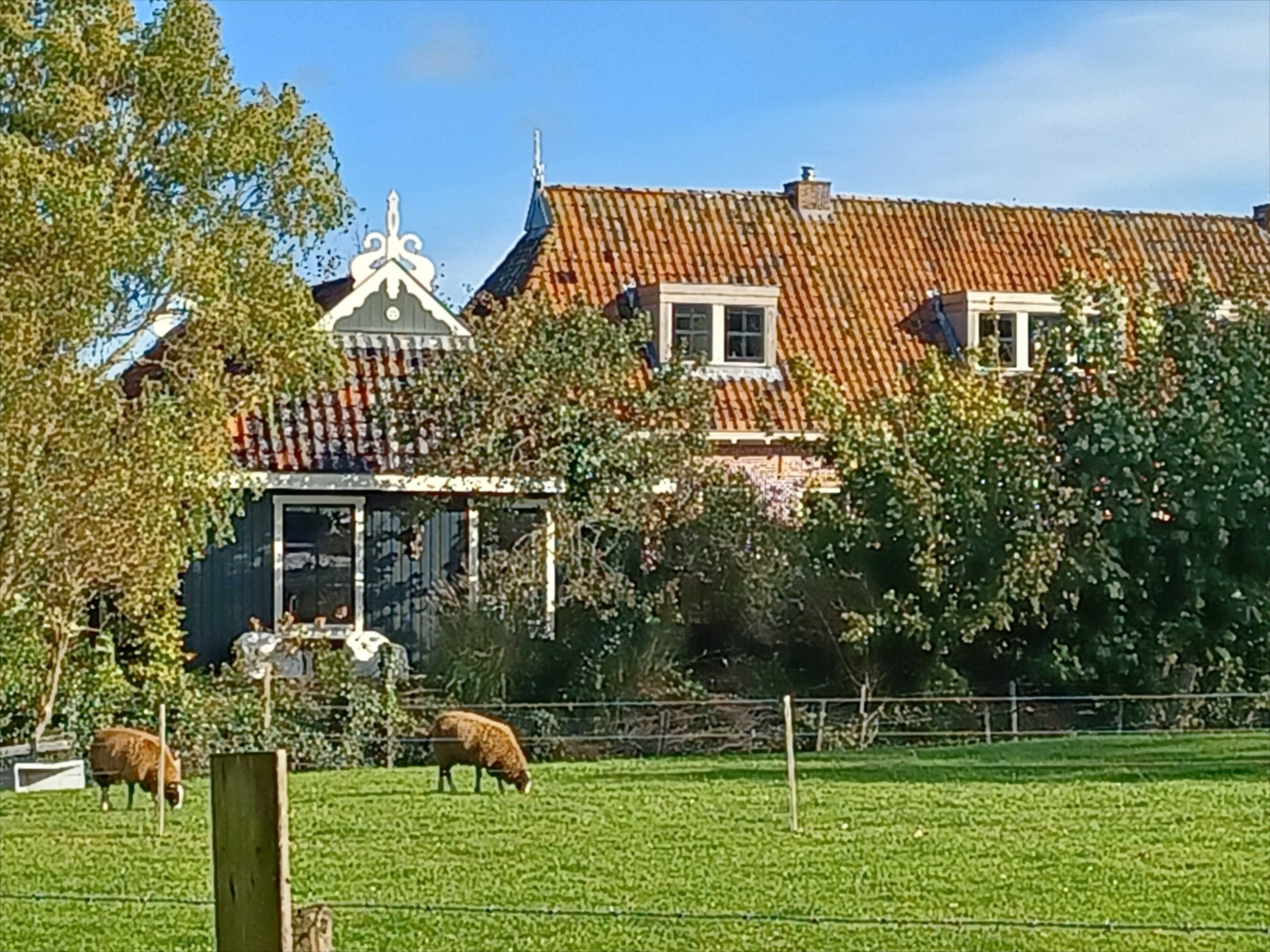Natuurhuisje in Foudgum