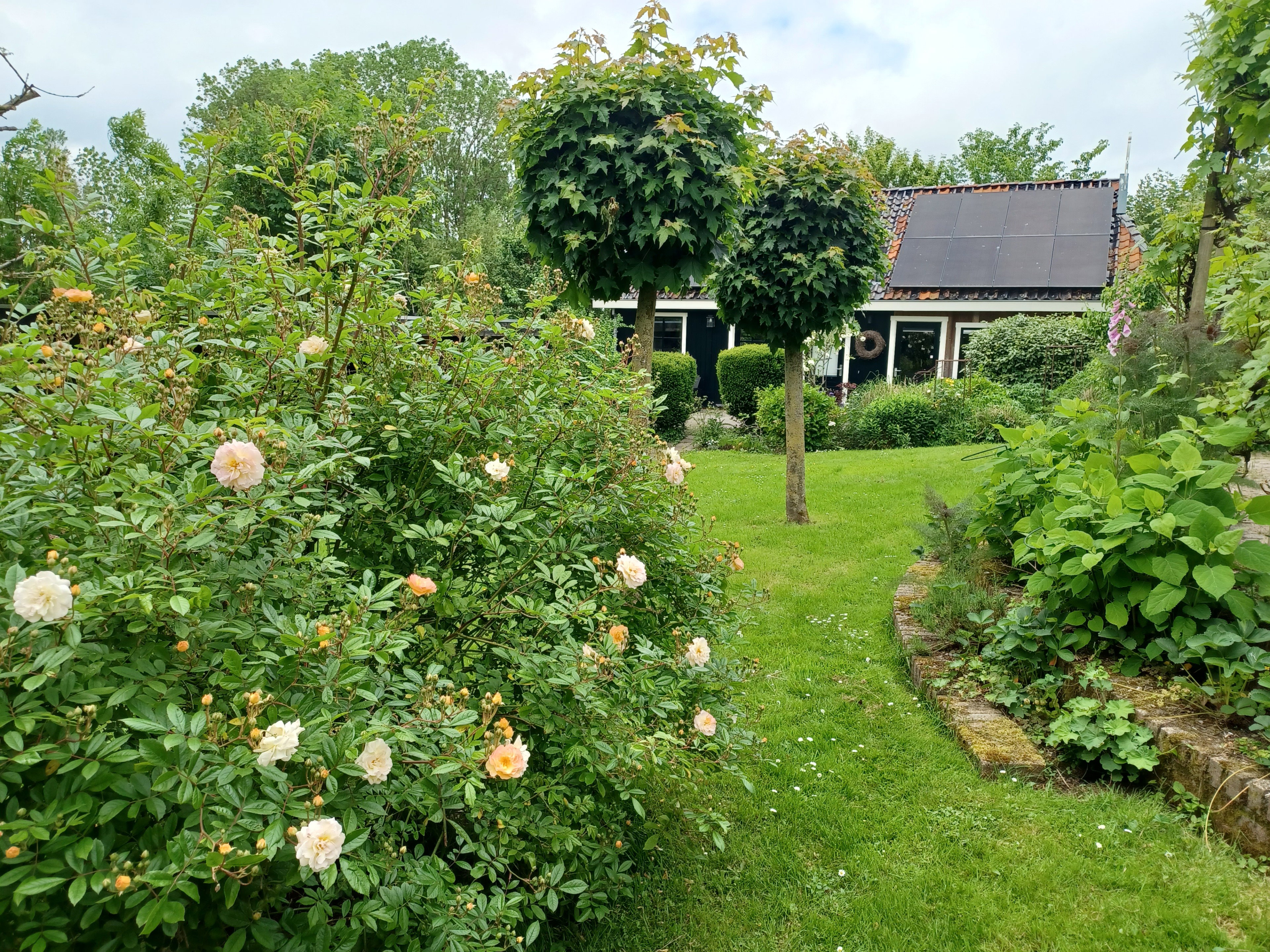 - image: 86