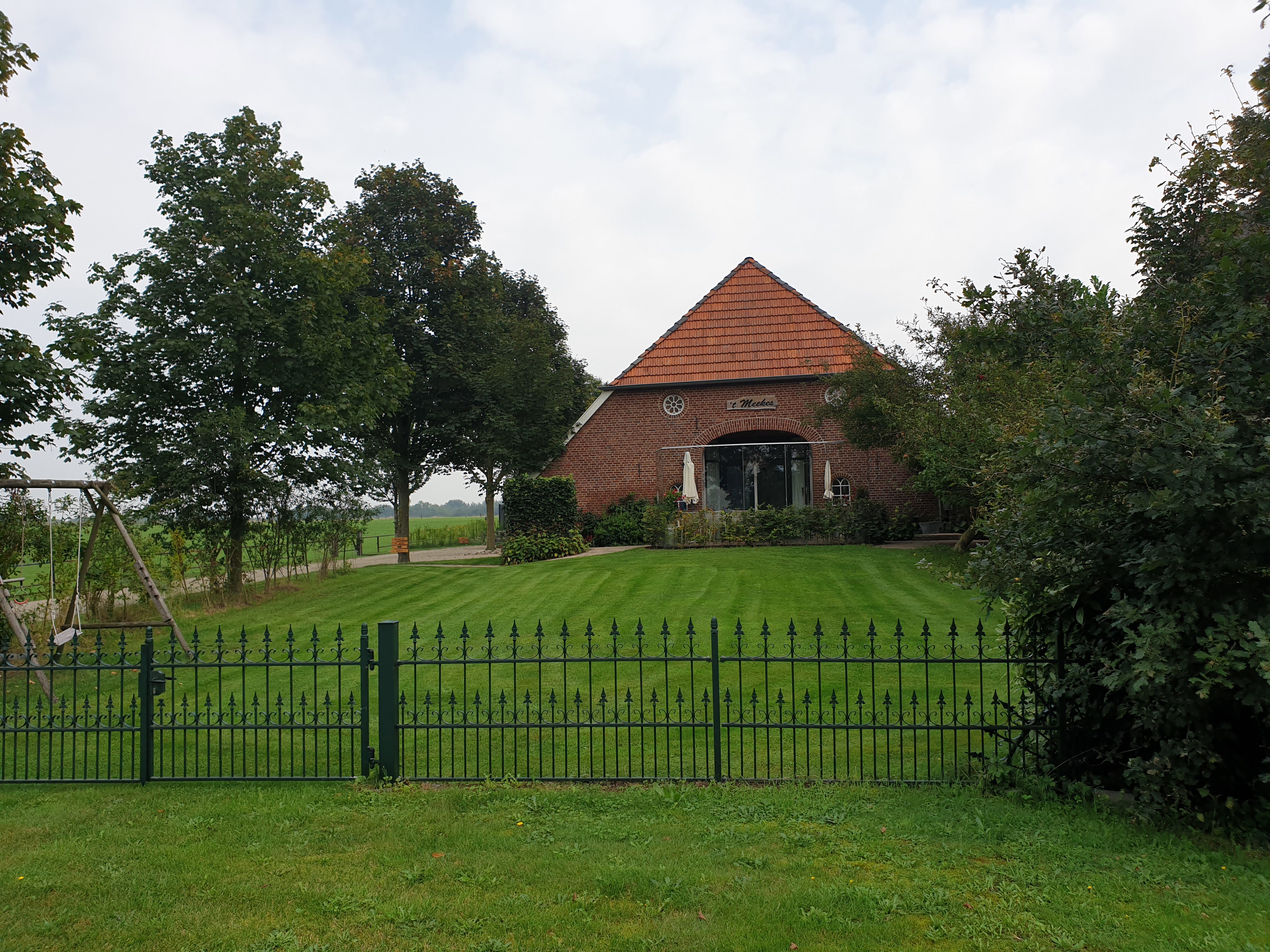 - image: 1