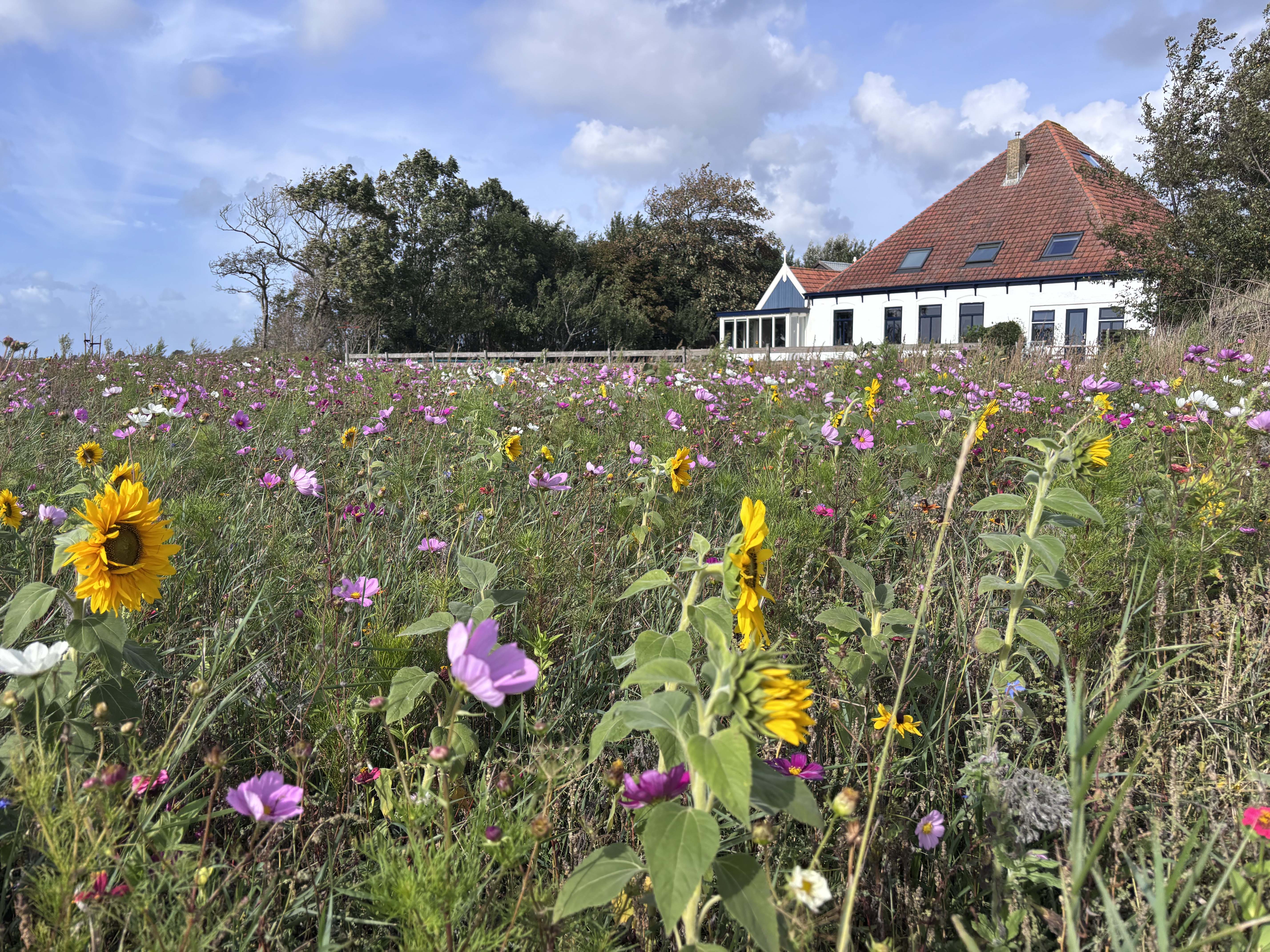 Natuurhuisje in Oosterend