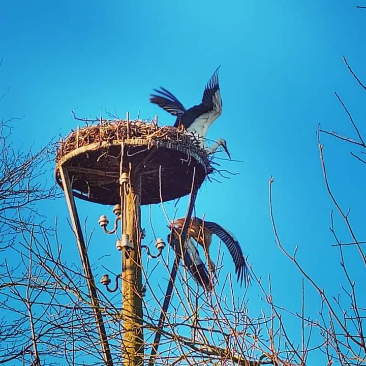 Naturhäuschen in Emst