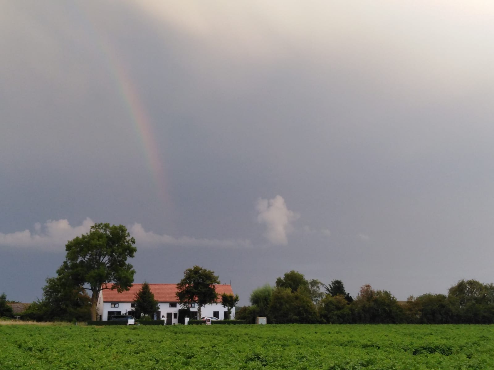 Maison nature à IJzendijke