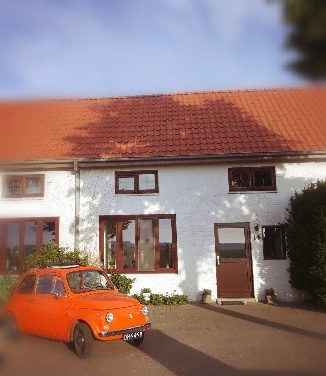Maison nature à IJzendijke