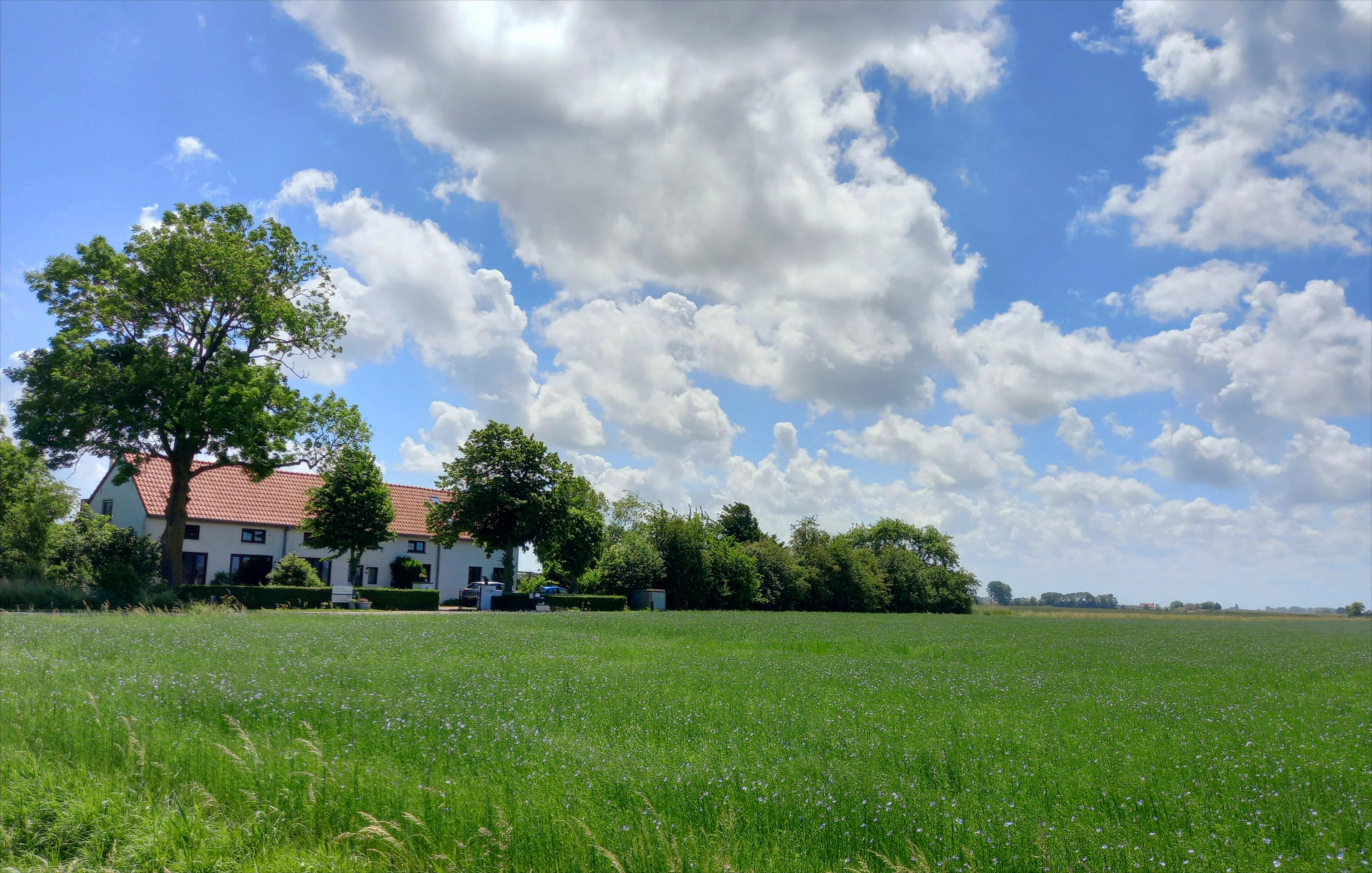 Naturhäuschen in IJzendijke