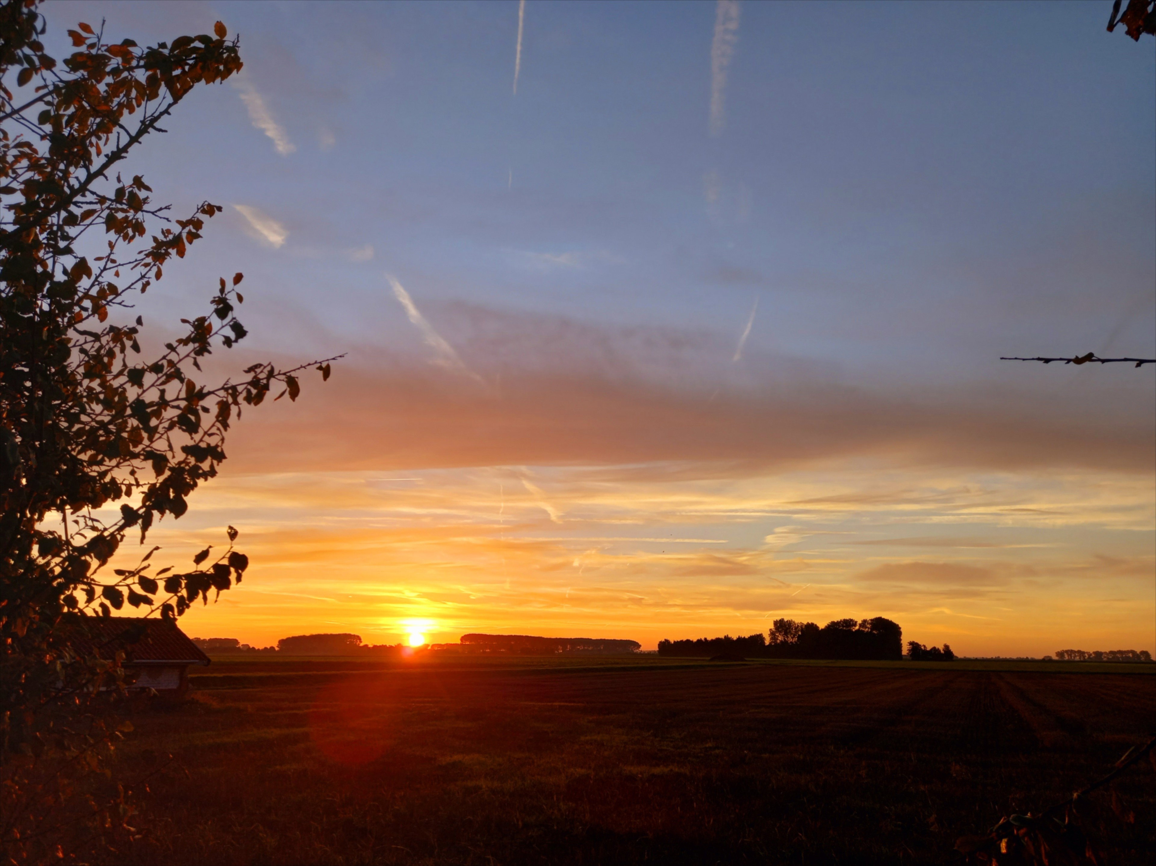 - image: 71