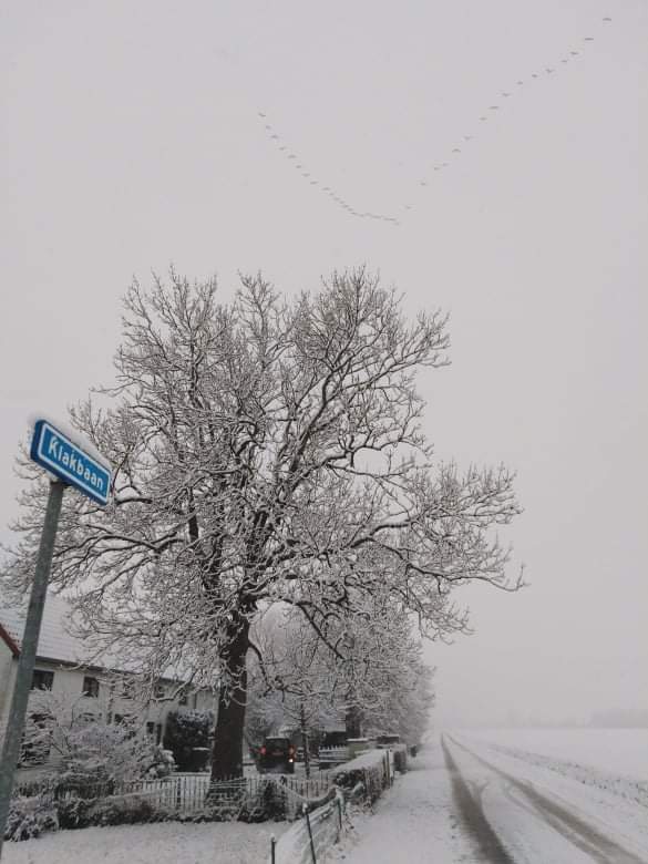 Naturhäuschen in IJzendijke