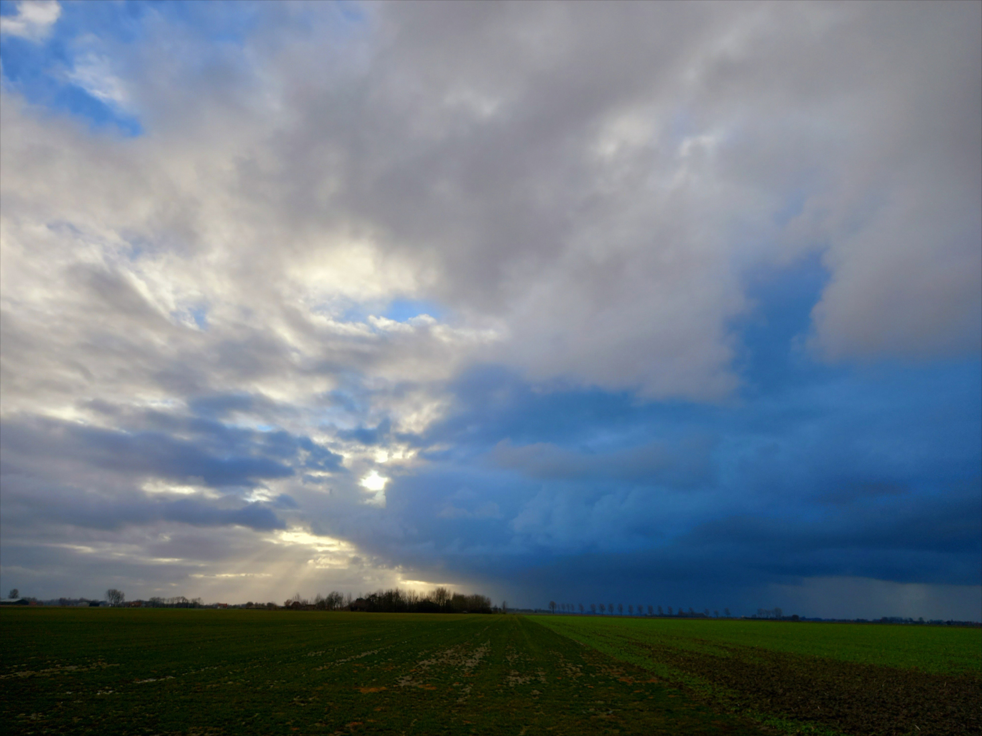 - image: 75