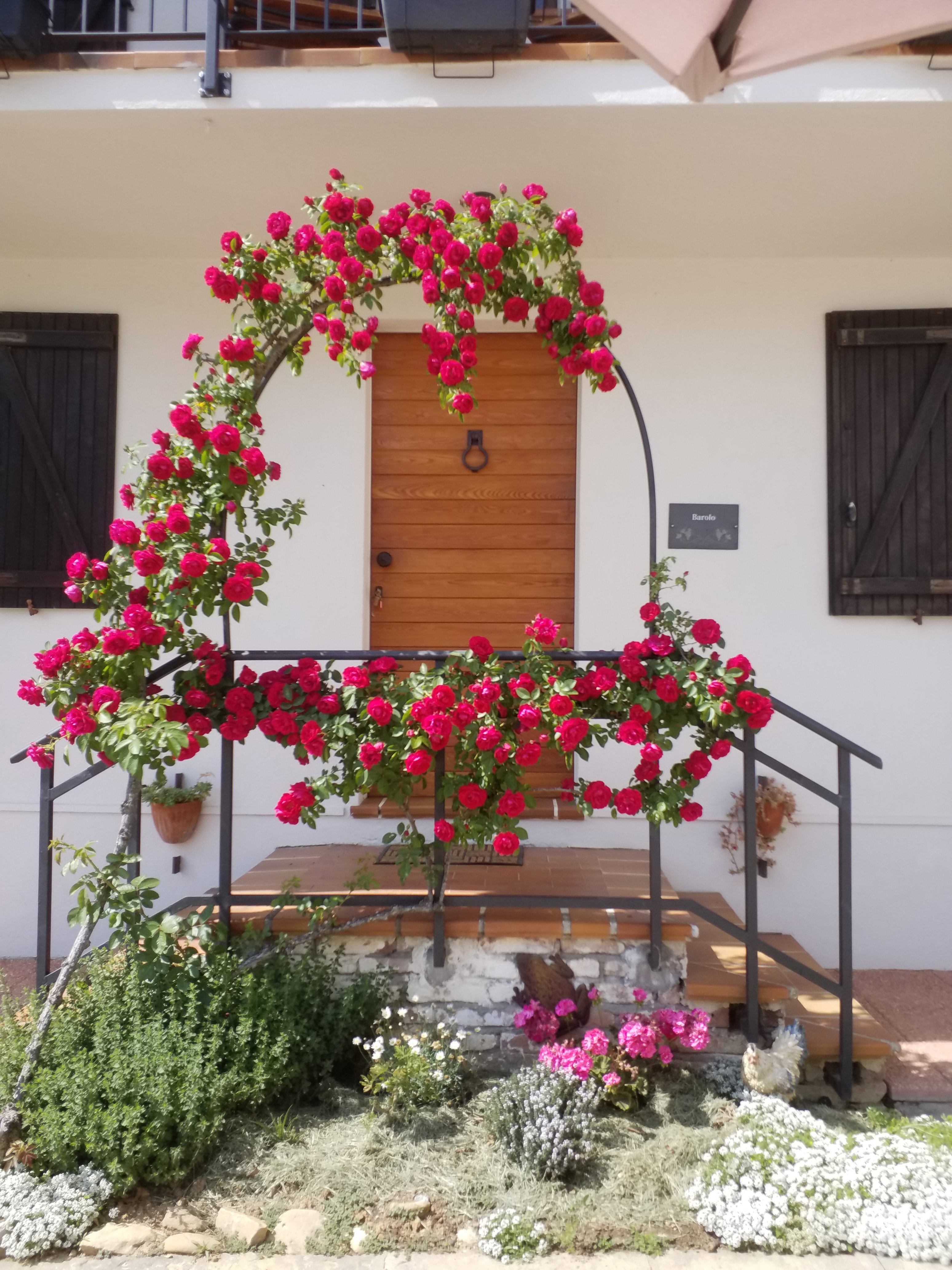 Nature house in Mango
