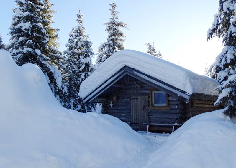 Maison nature à Arjeplog
