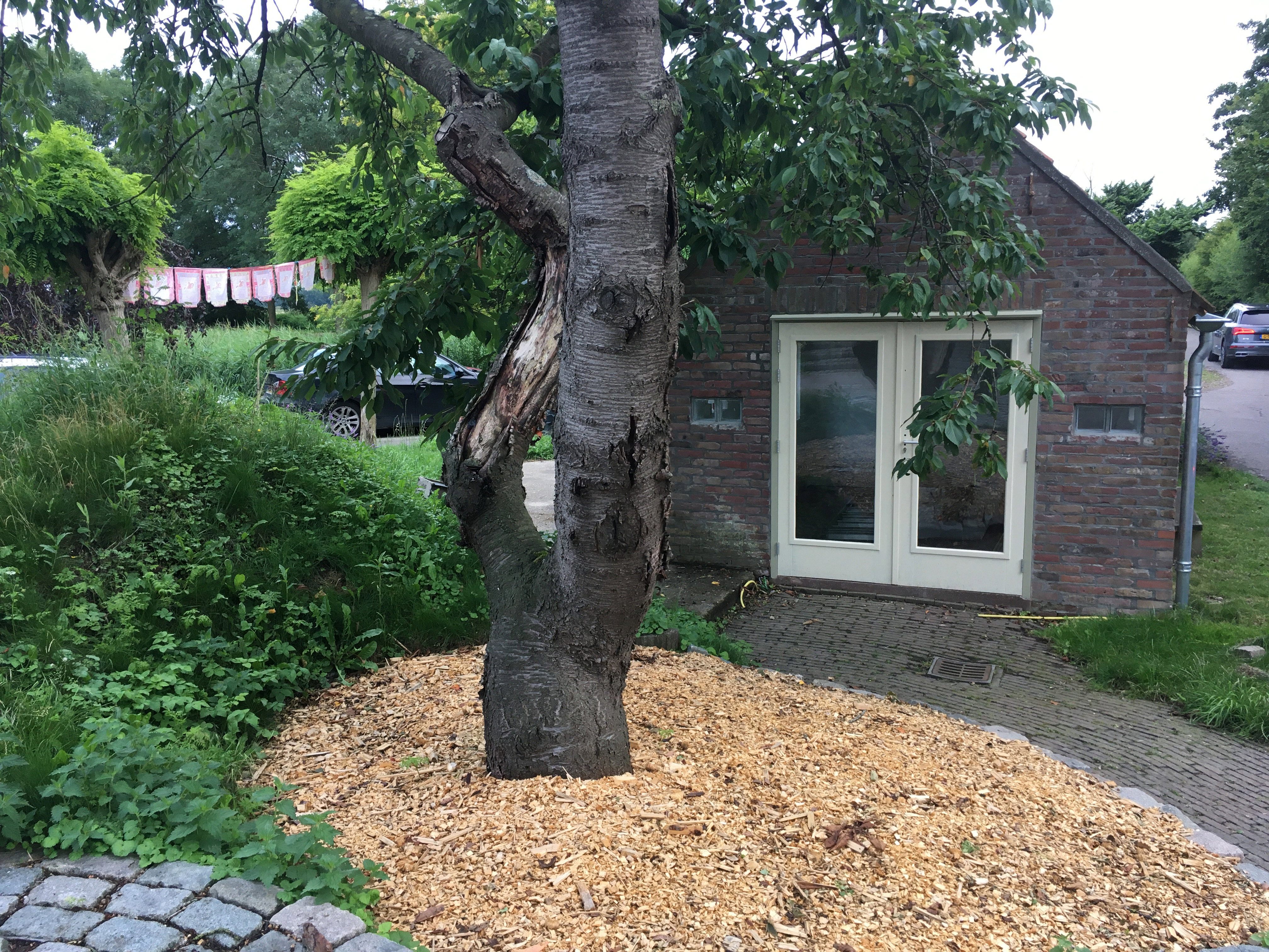 Maison nature à Heijningen
