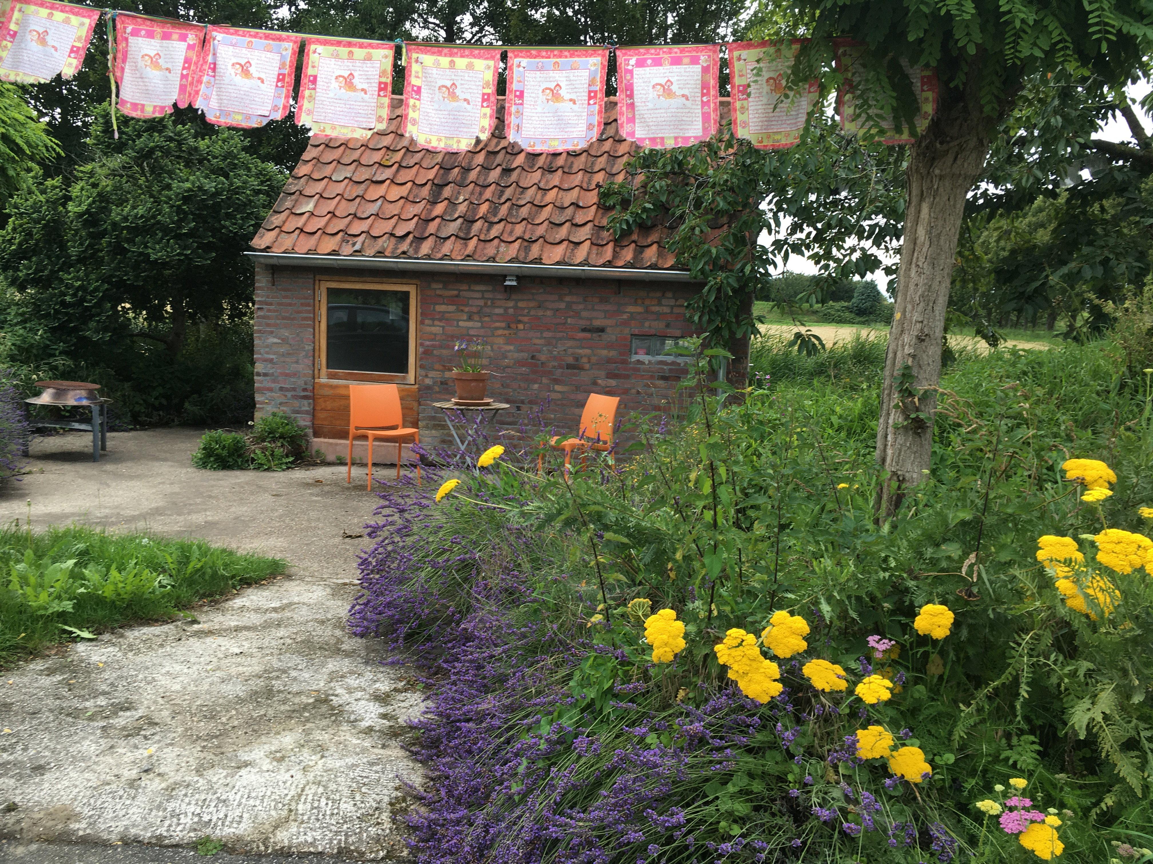 Maison nature à Heijningen