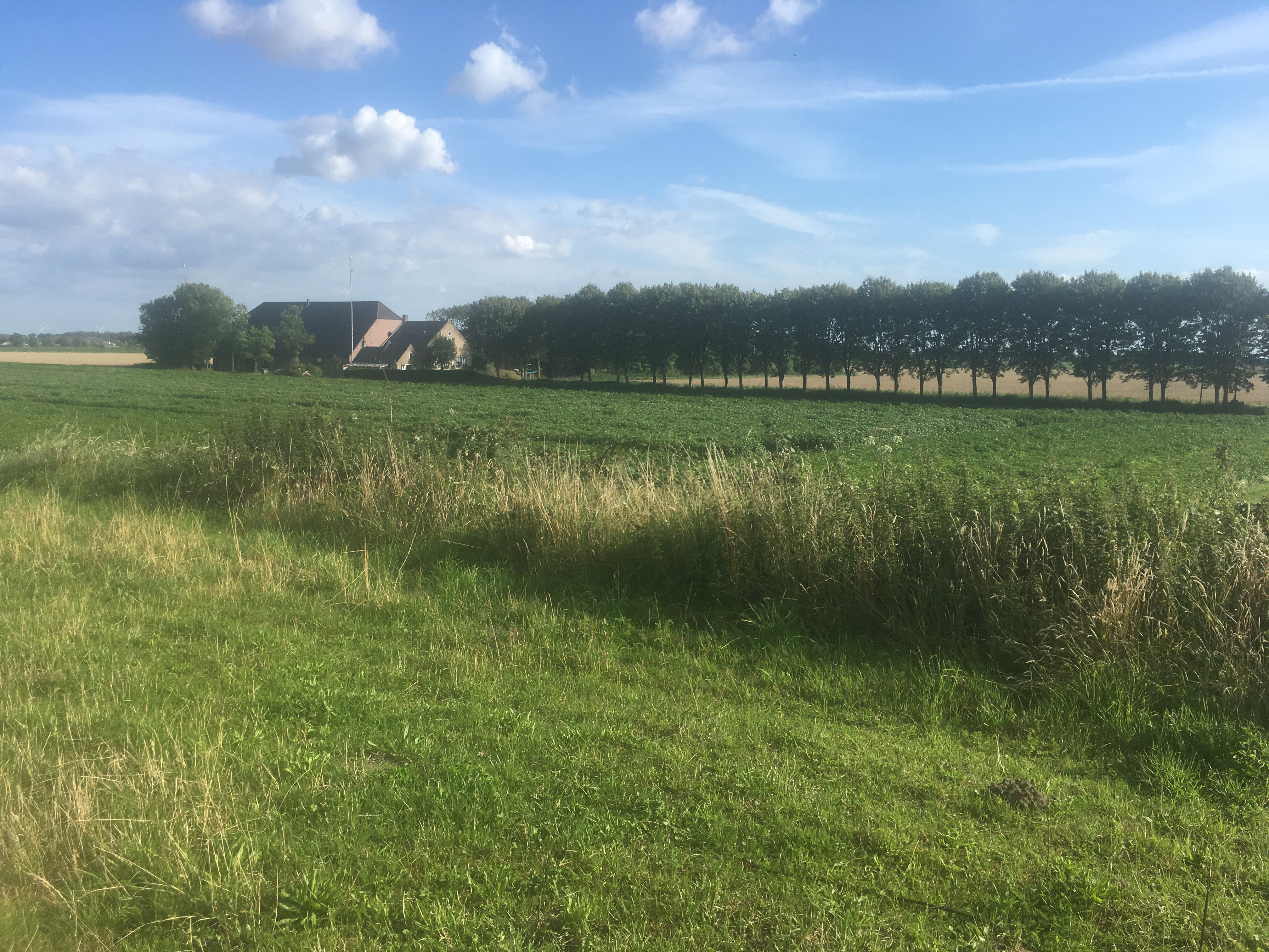 Maison nature à Heijningen