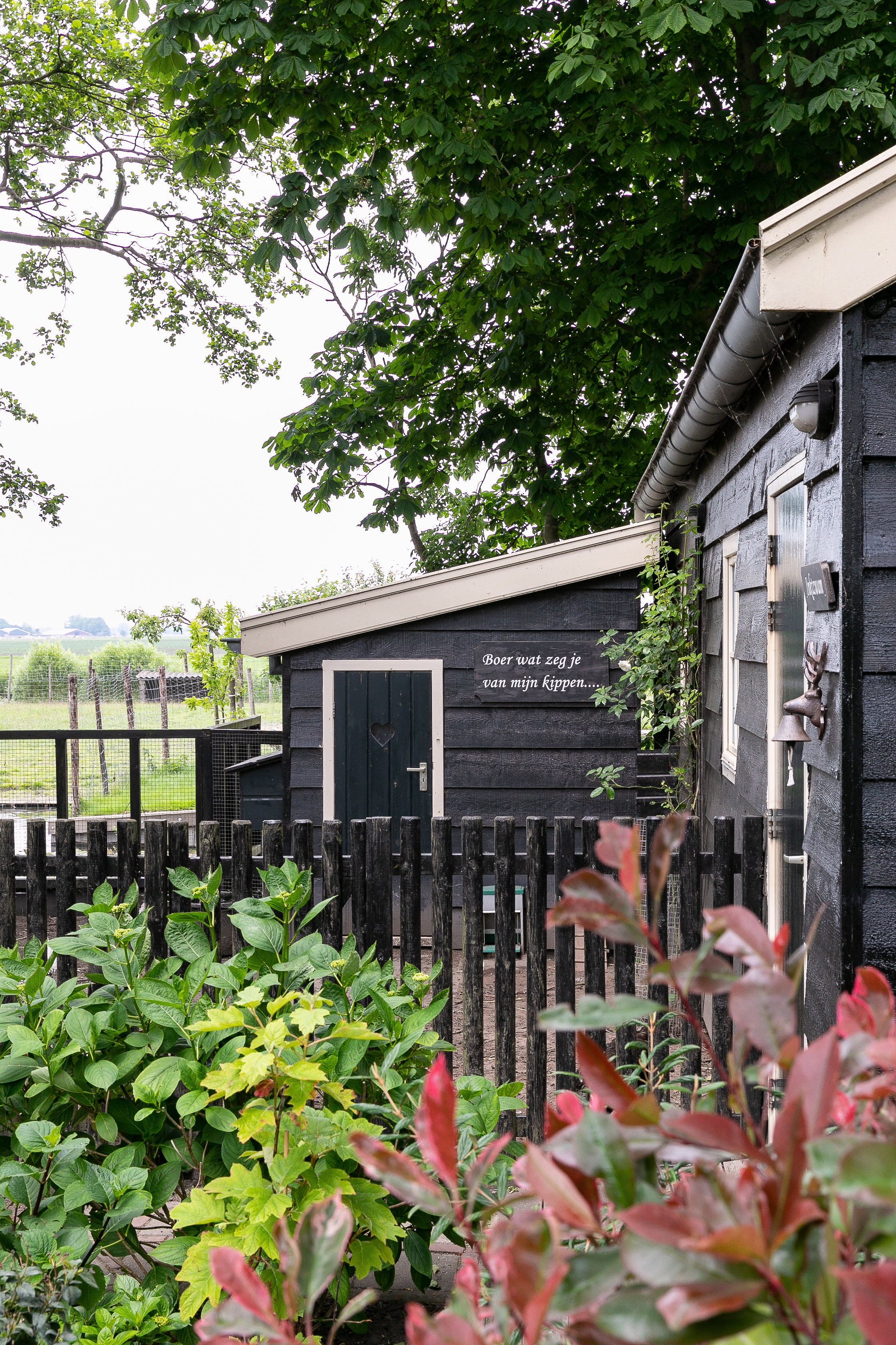 Maison nature à Oostwoud