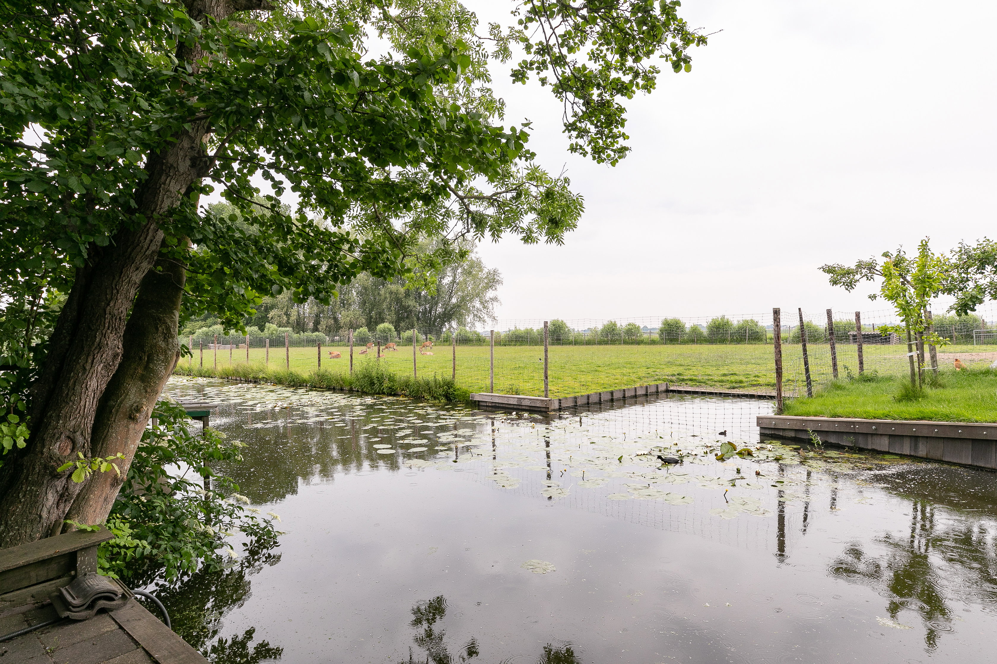 Maison nature à Oostwoud