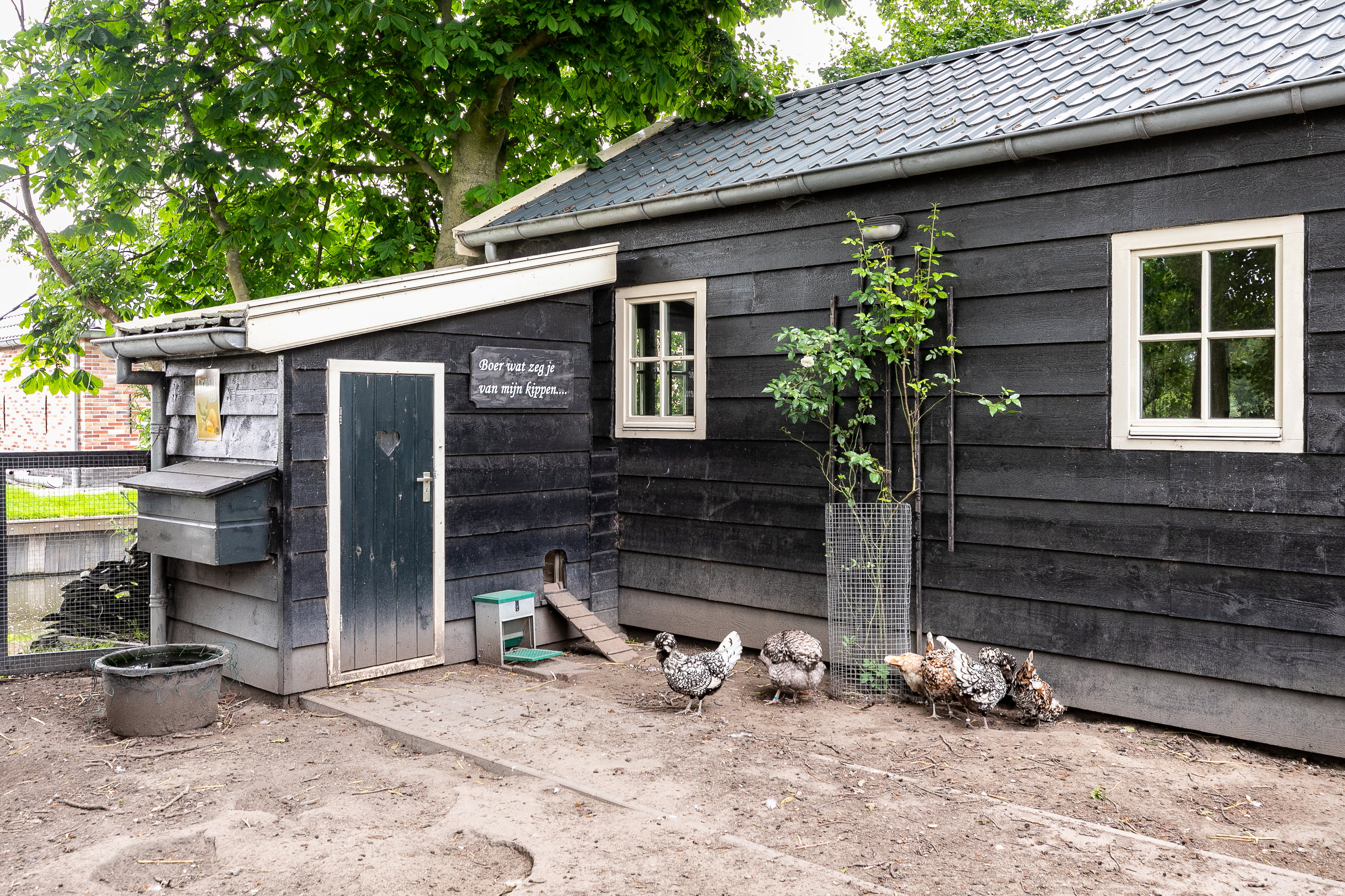 Maison nature à Oostwoud