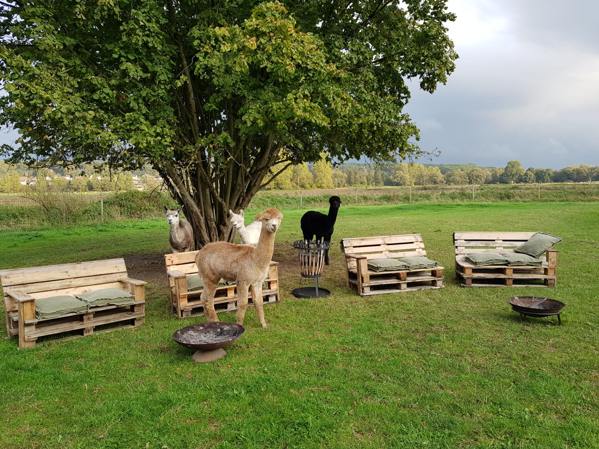 Natuurhuisje in Sint-Agatha-Rode