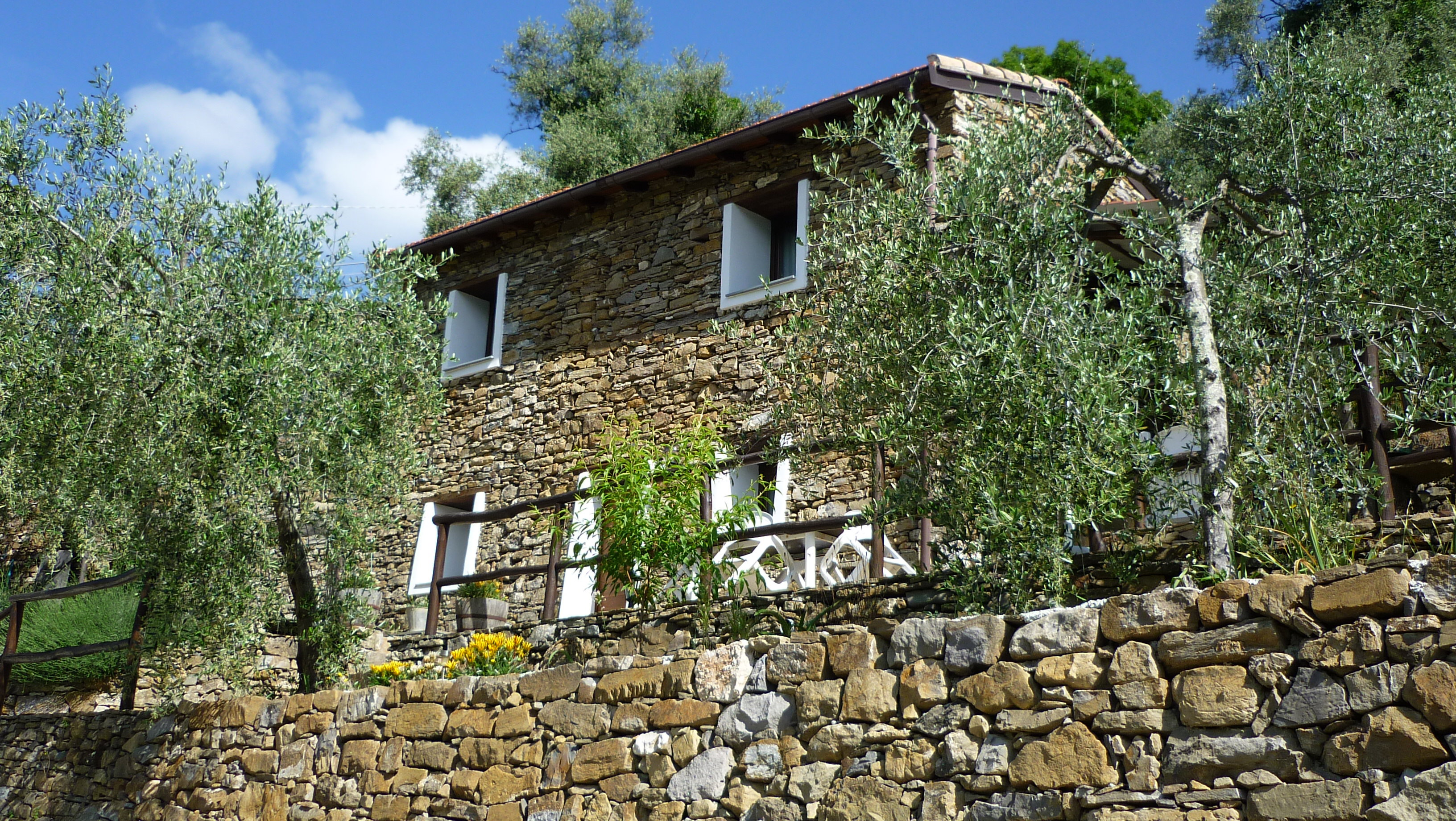 - image: 12