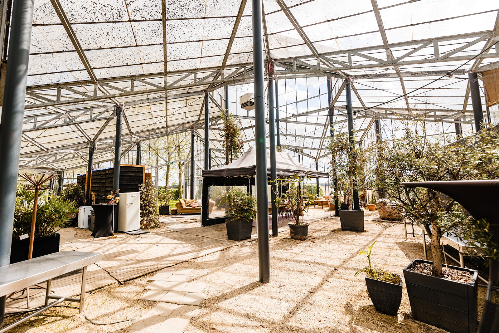 - image: 19
