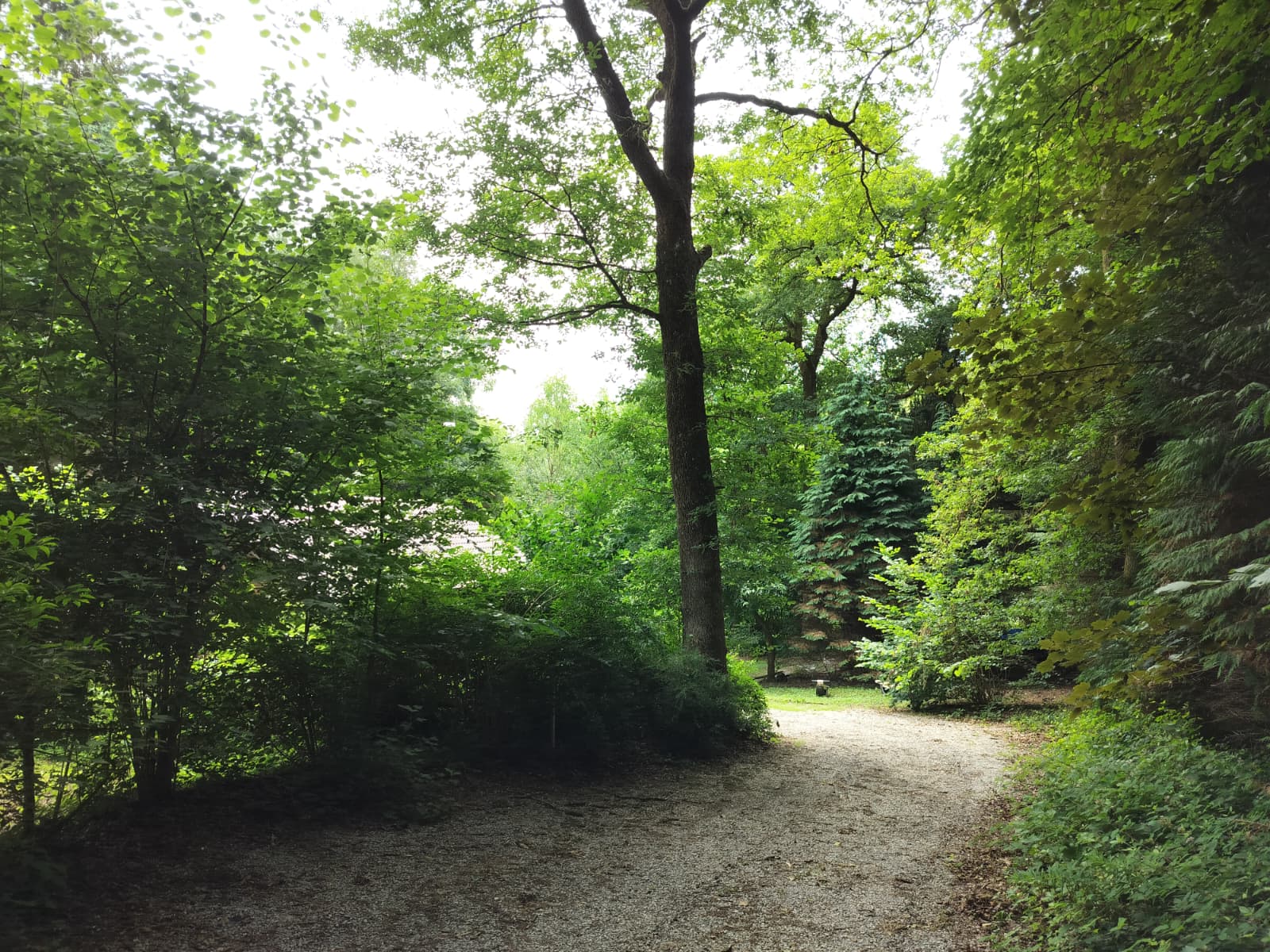 Nature house in Oignies-en-thierache