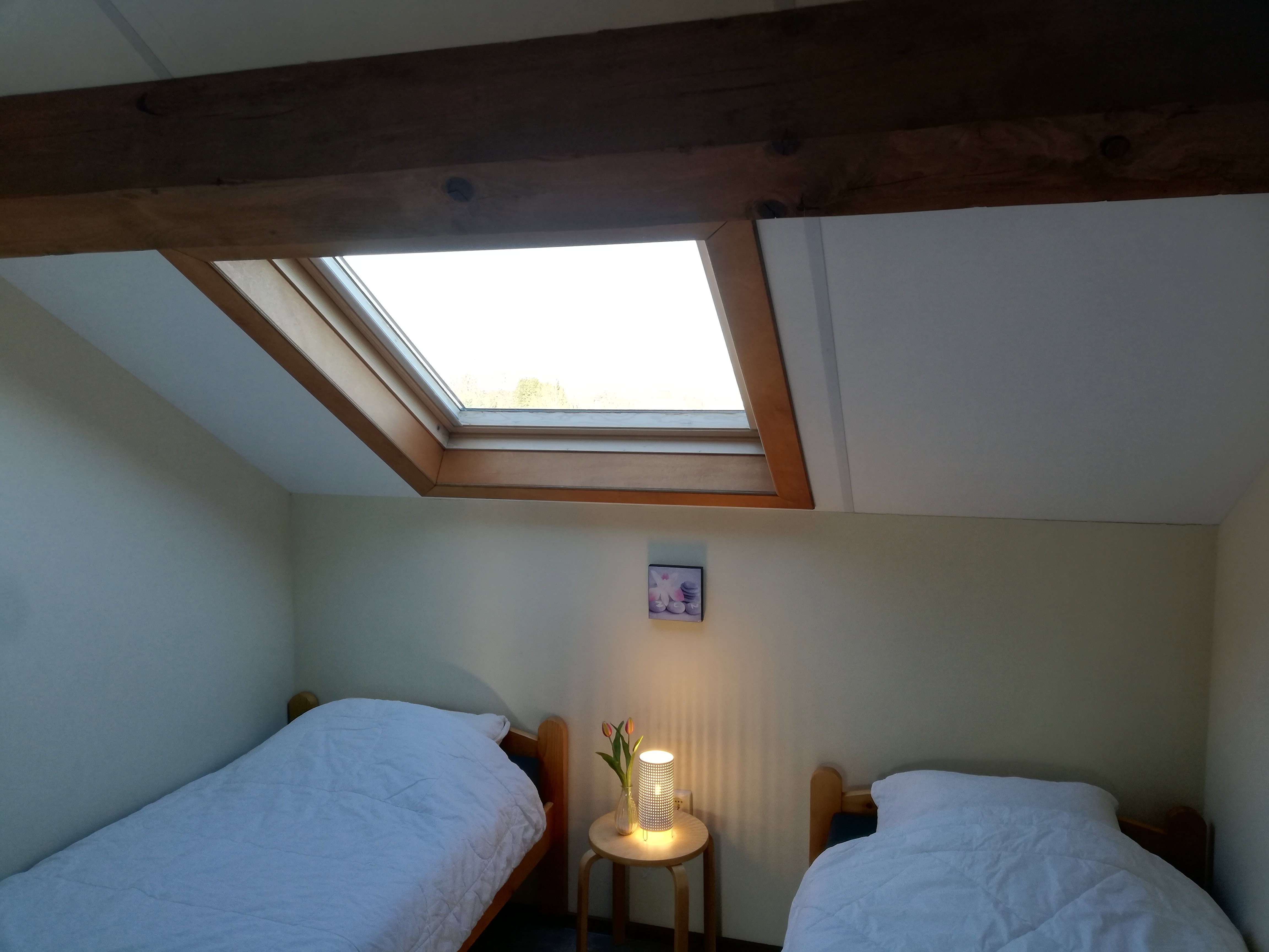Naturhäuschen in La Roche-en-Ardenne (Ortho-Warempage)