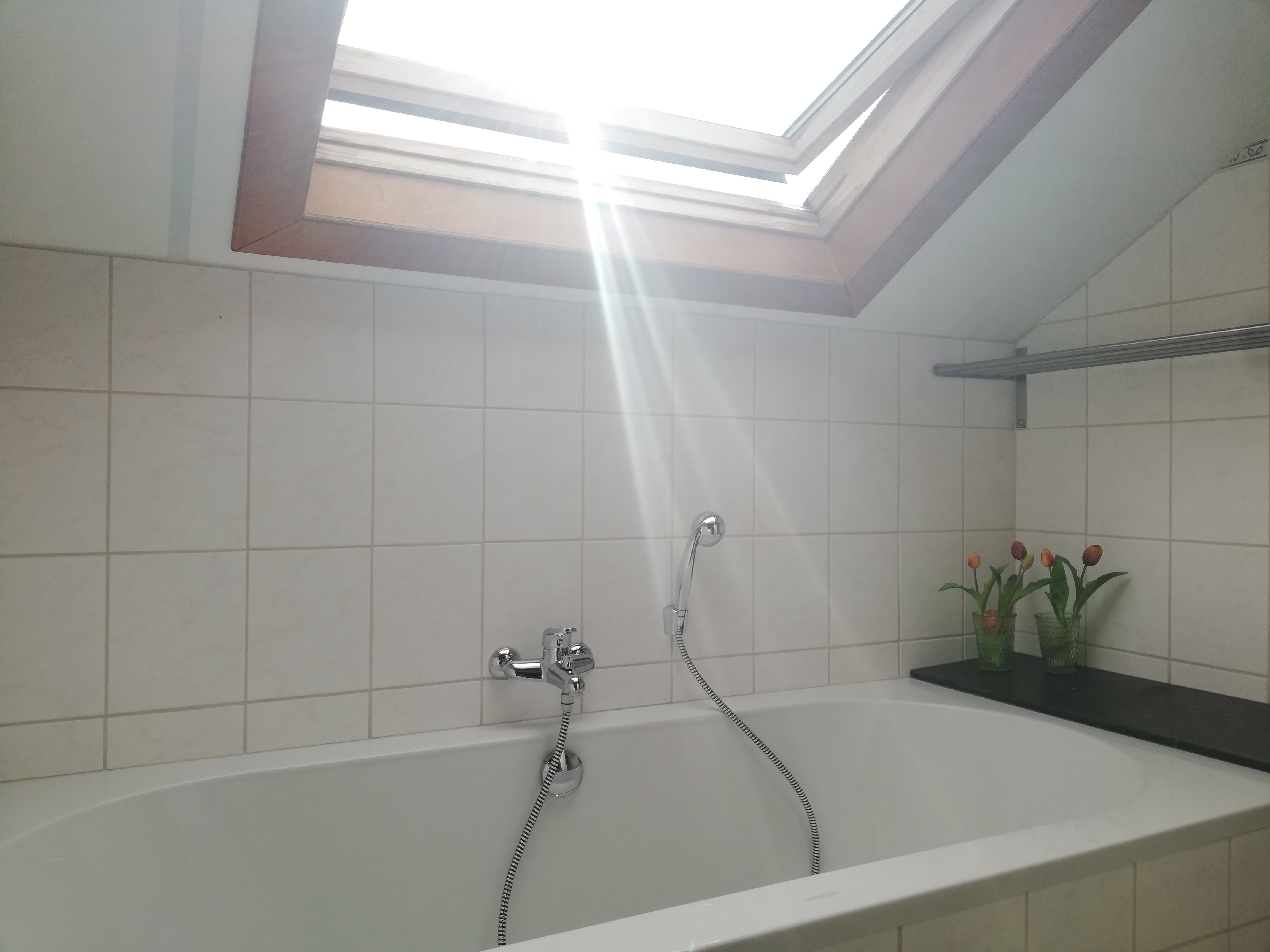 - image: 12
