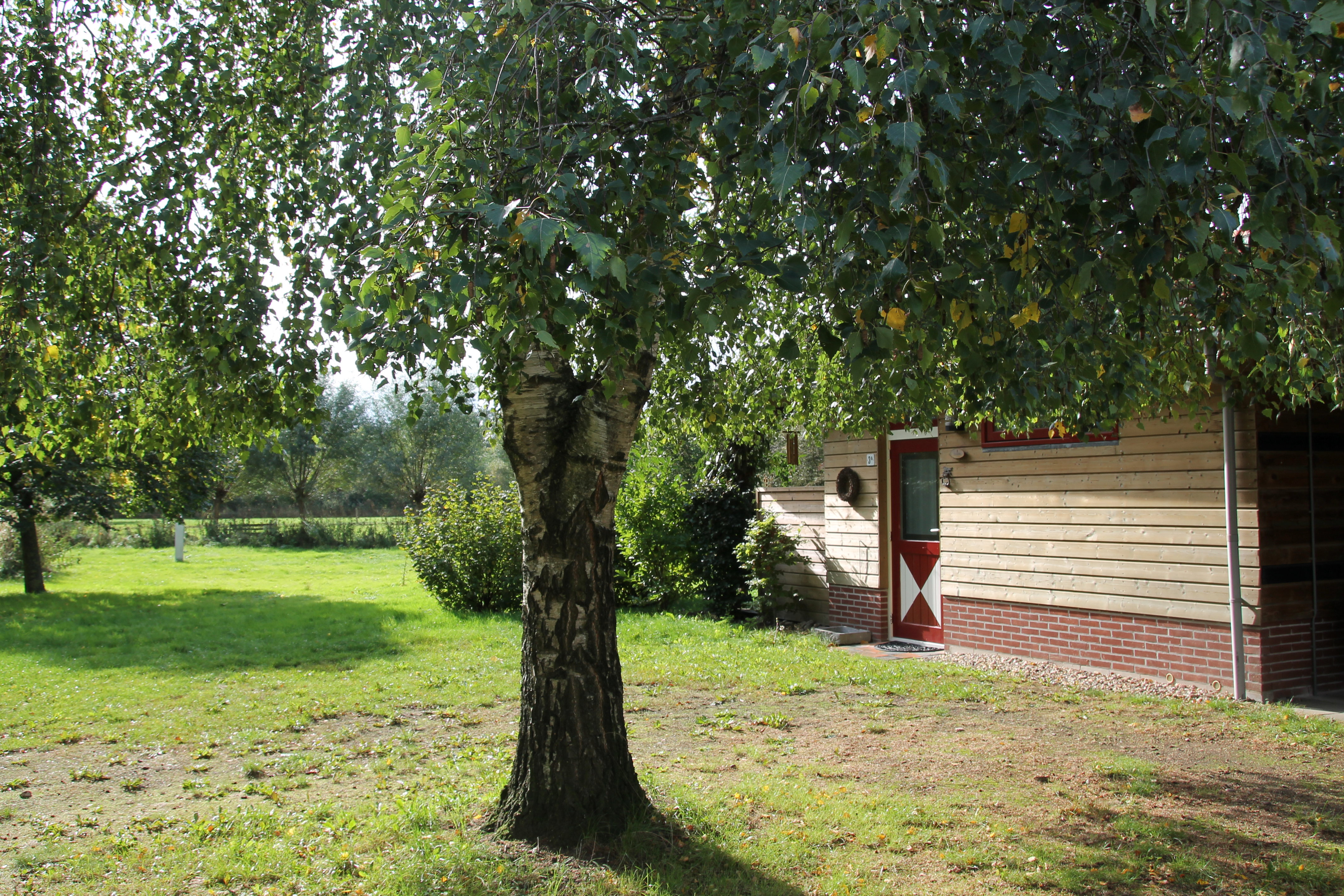 - image: 11