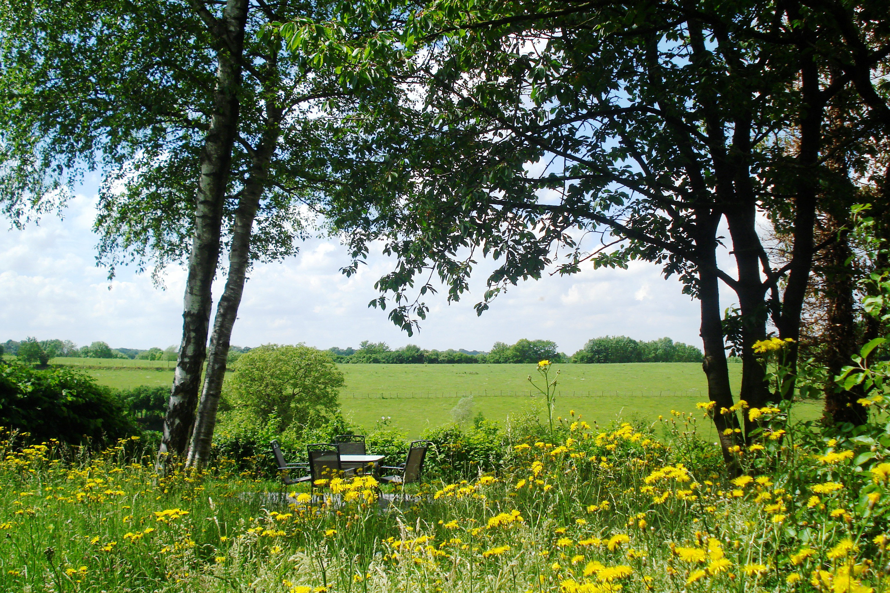 - image: 10