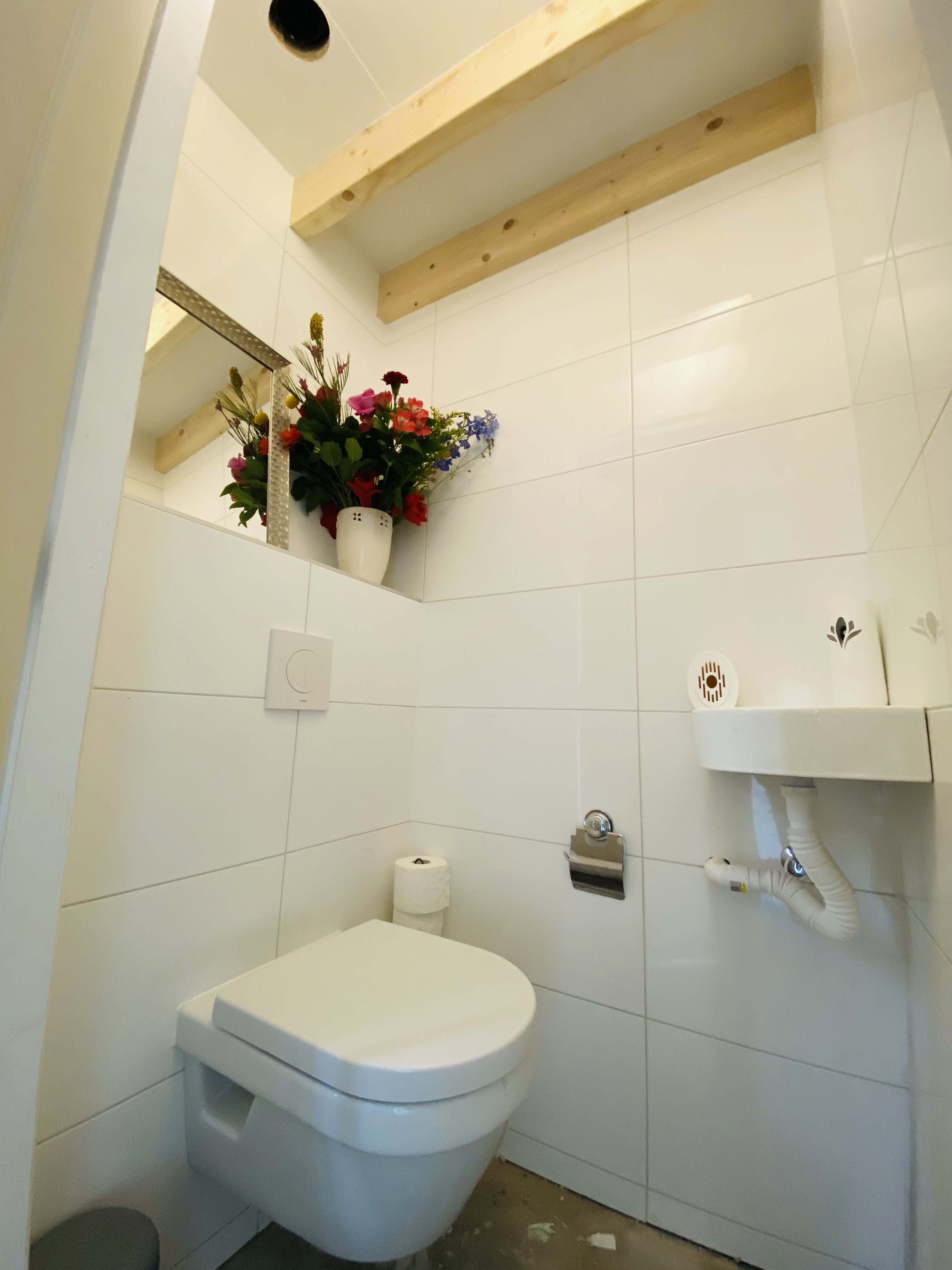 - image: 31