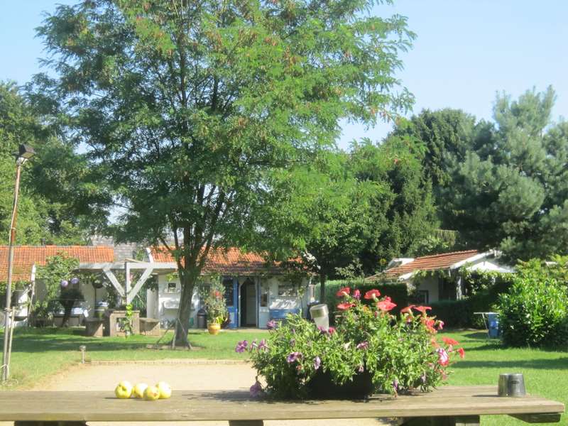 - image: 12