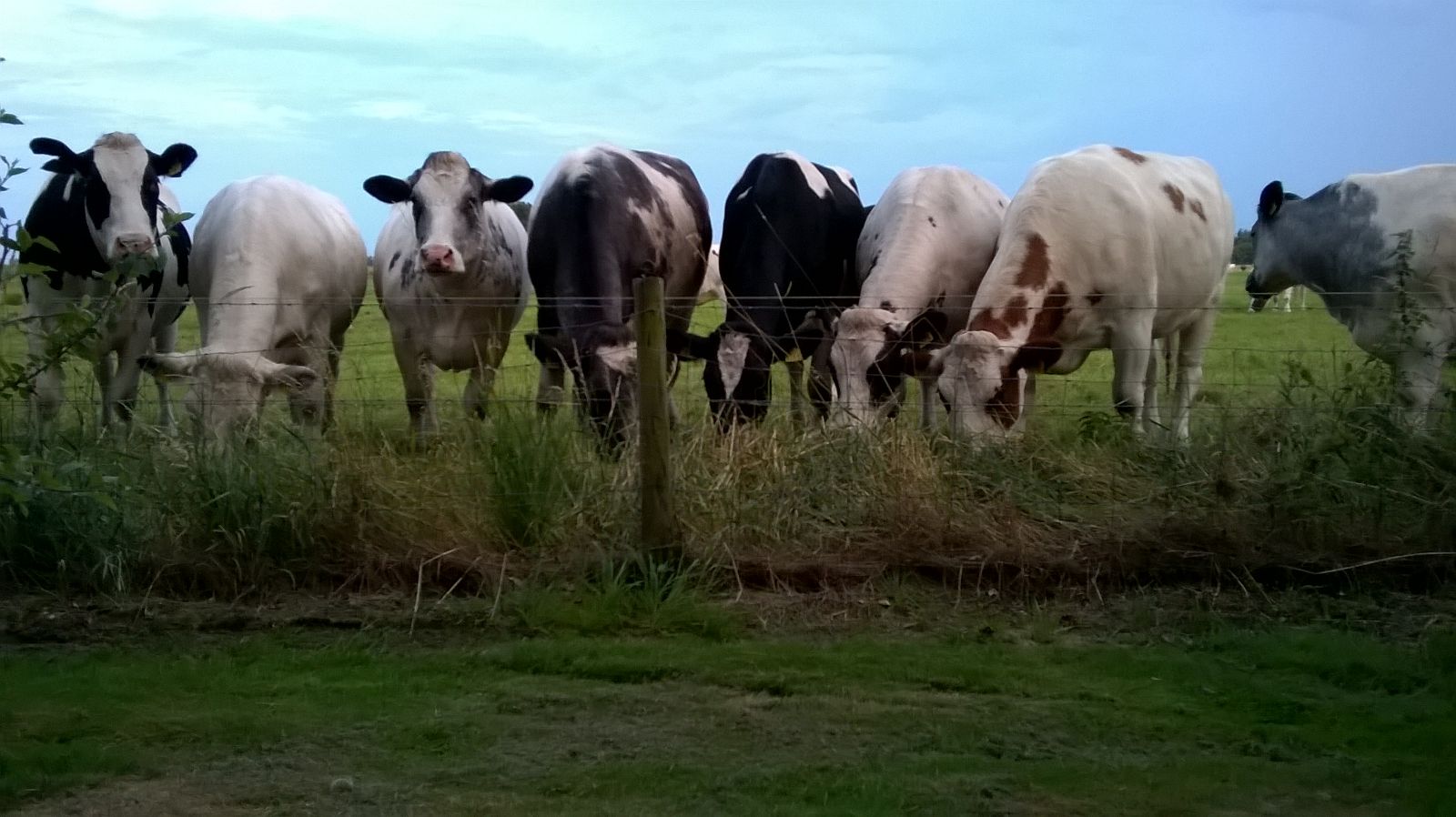 Natuurhuisje in Wapenveld