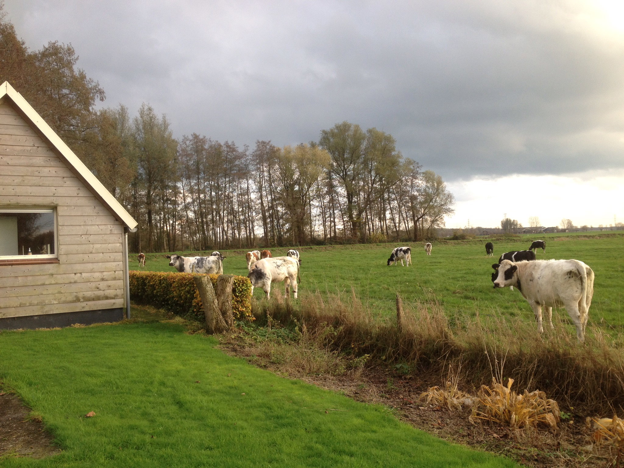 Natuurhuisje in Wapenveld