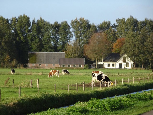 Natuurhuisje in Wapenveld