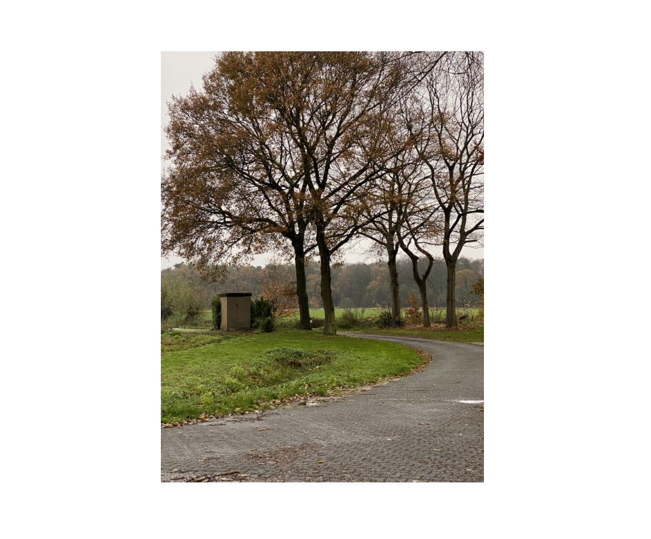 Natuurhuisje in Ommen