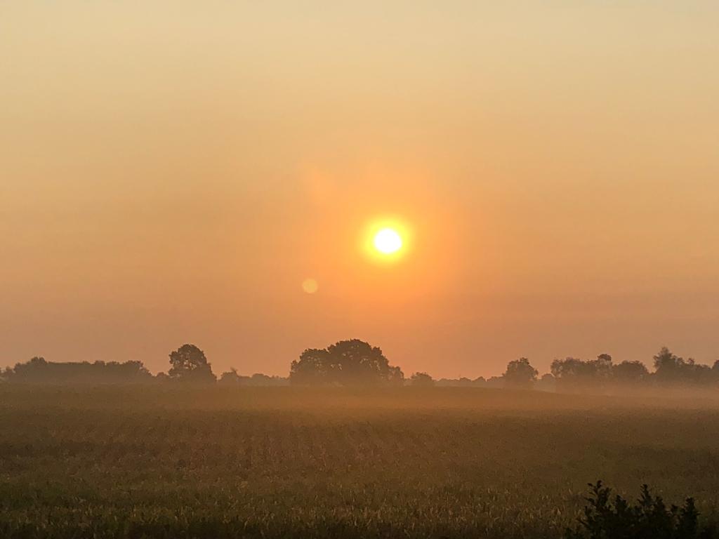 Natuurhuisje in Ommen