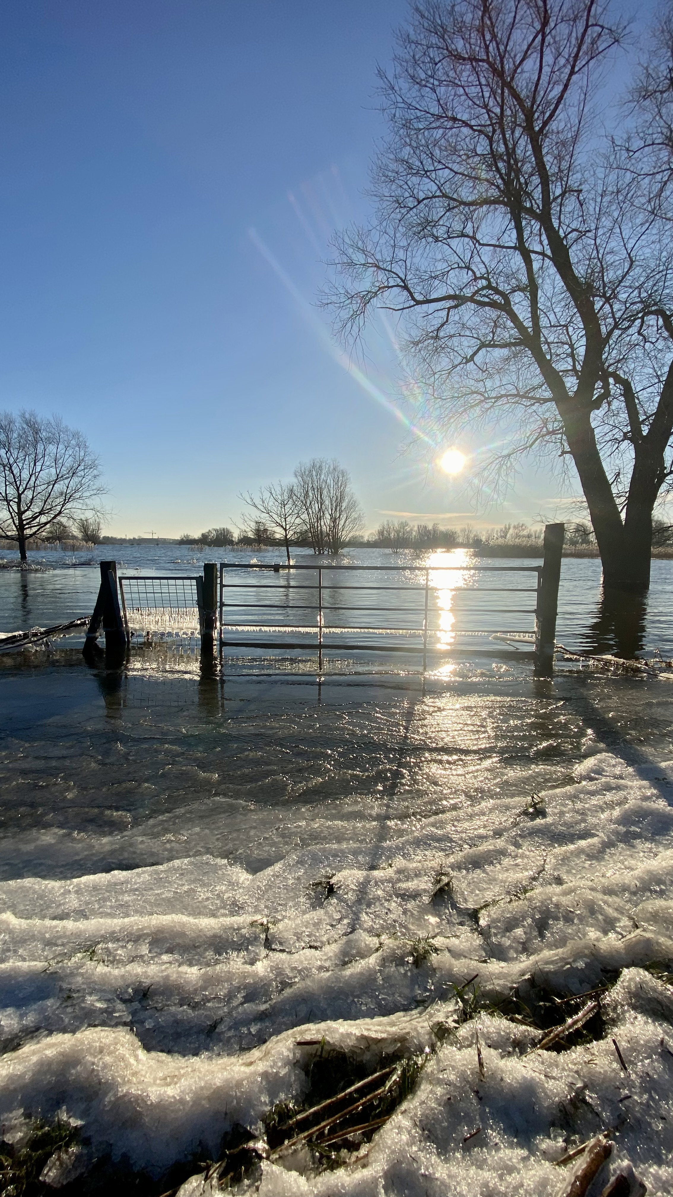 - image: 42