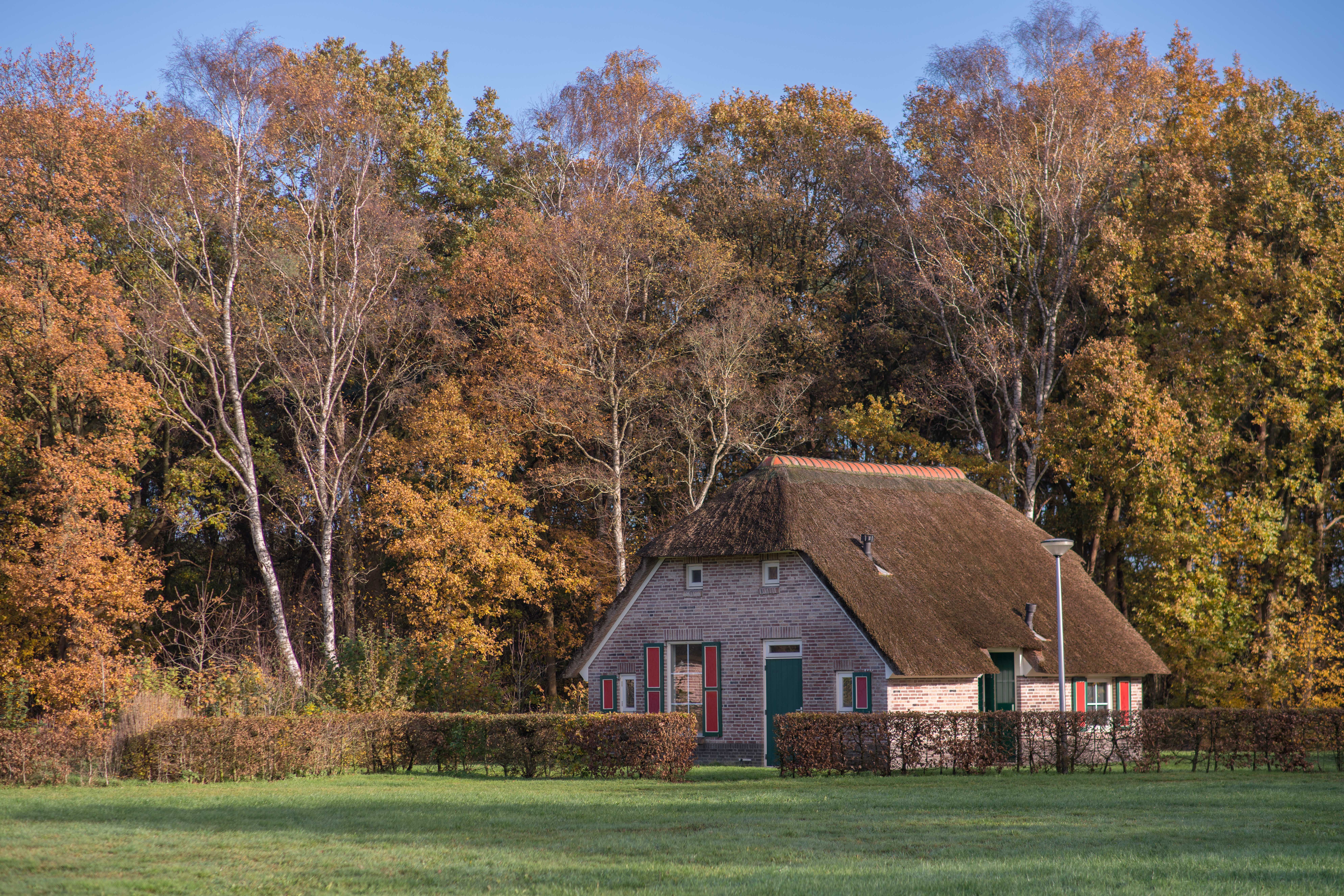 Naturhäuschen in Den Ham