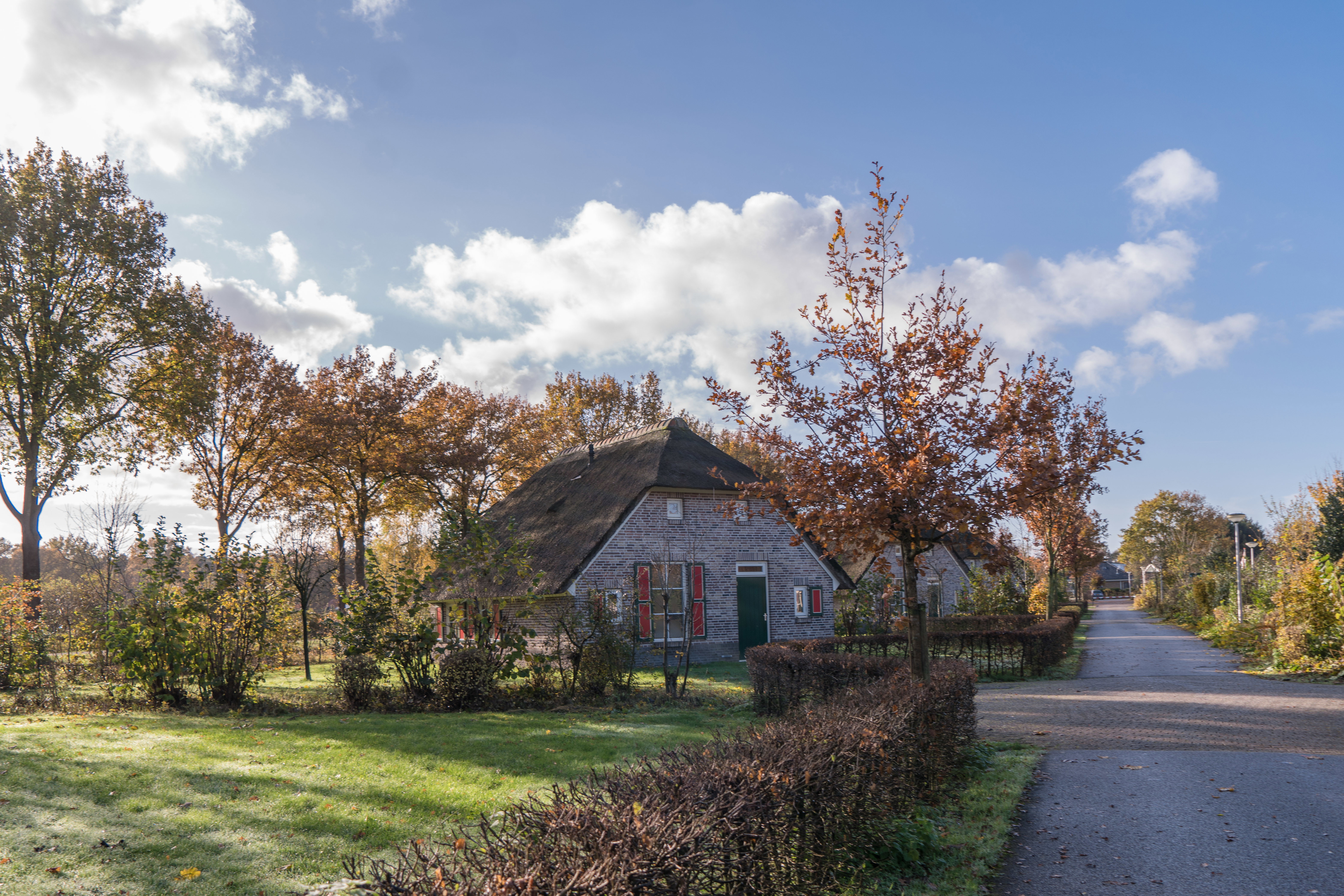 Naturhäuschen in Den Ham