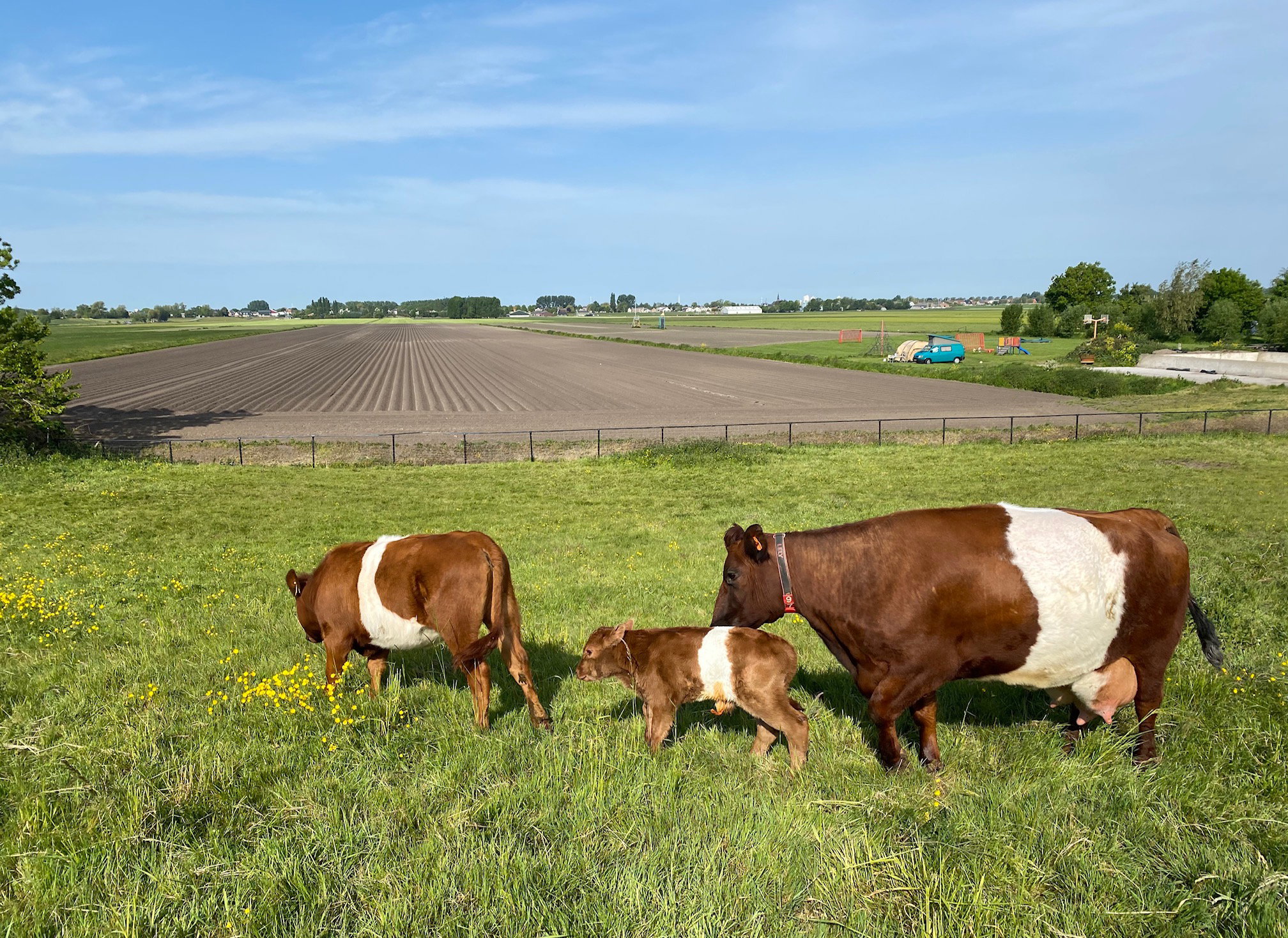 Natuurhuisje in Leimuiden